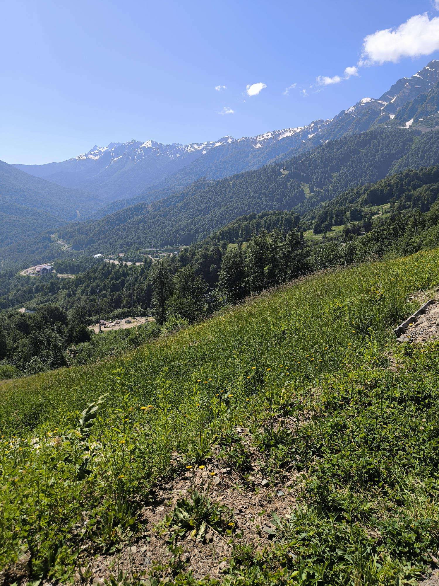 Lush mountain terrain from ground to aerial on a clear morning