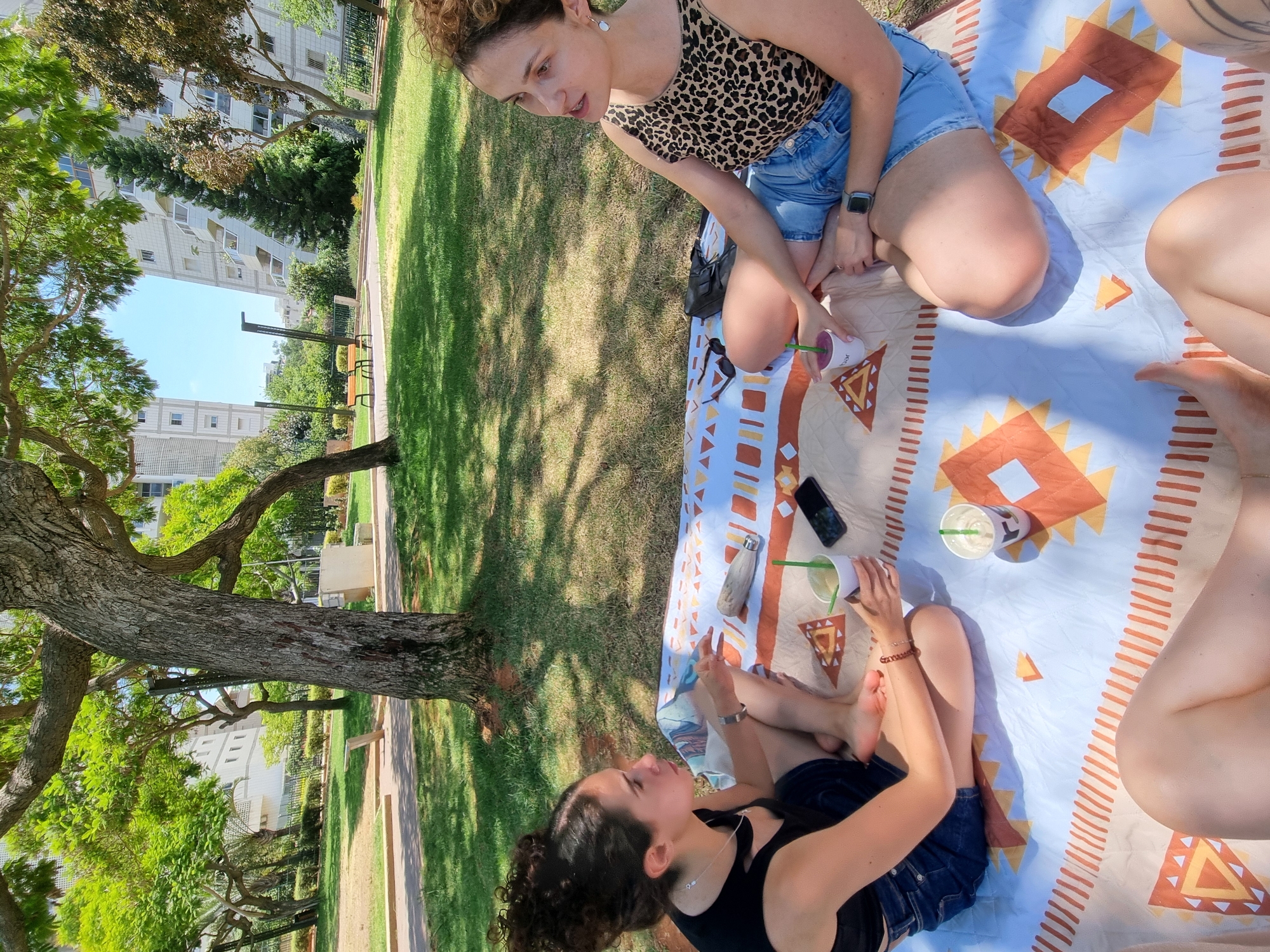 Sunny picnic in a Ramat Gan park with drinks