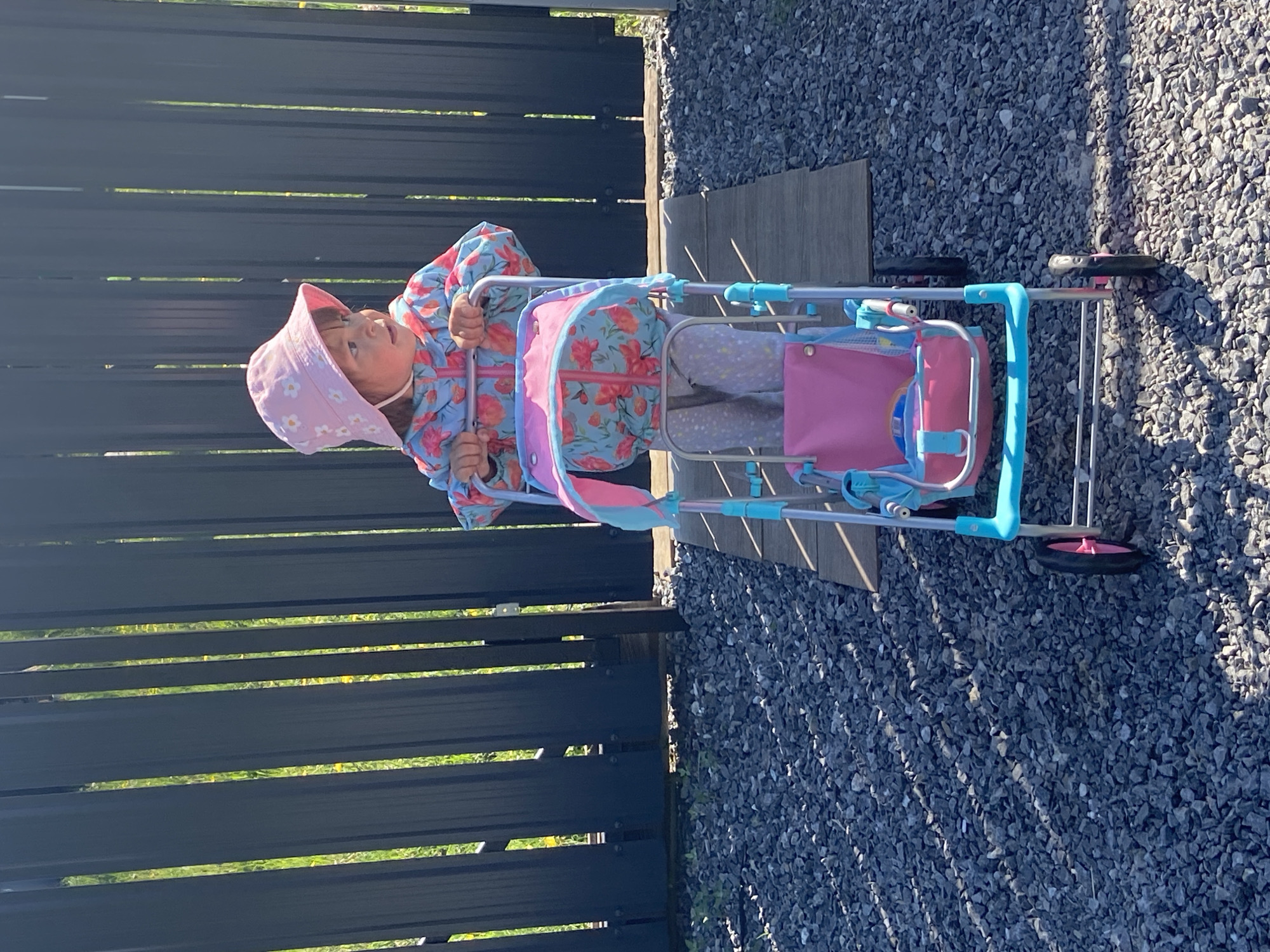 Child plays with toy stroller and cat in Tyumen