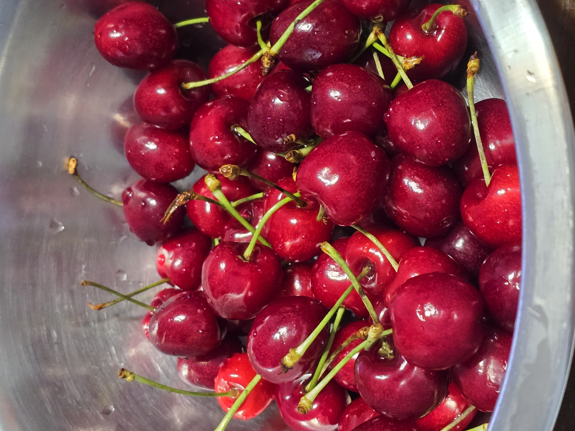 Fresh cherries photographed in metallic bowl in Sofia