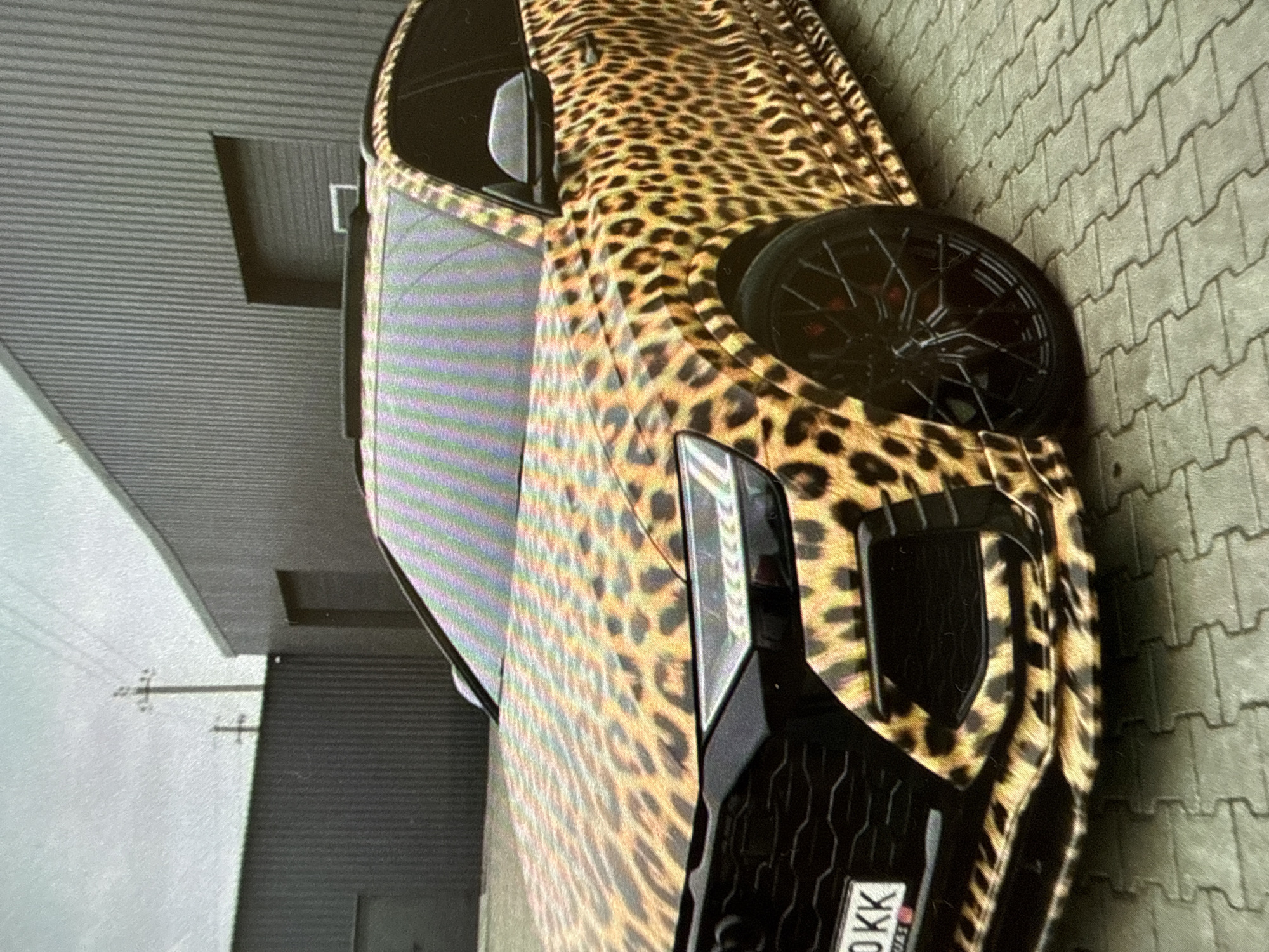 Urban witness documents everyday moments with pets, food, vehicles