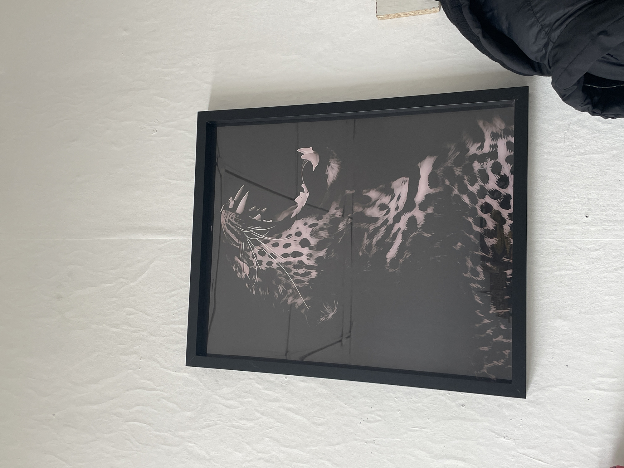 Framed leopard artwork observed on wall in Sofia
