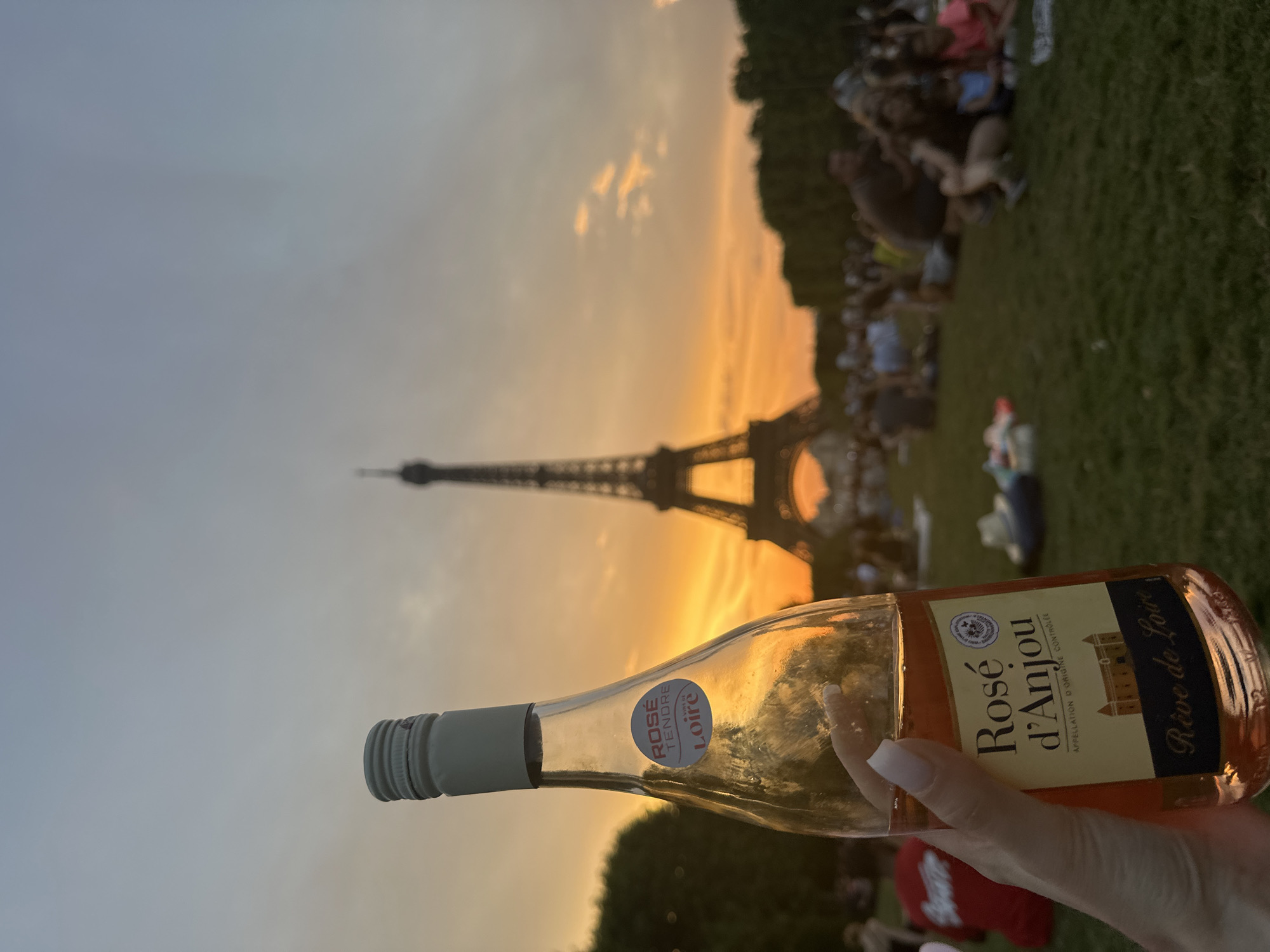 Fitness, rosé, and horses near the Eiffel Tower at sunset