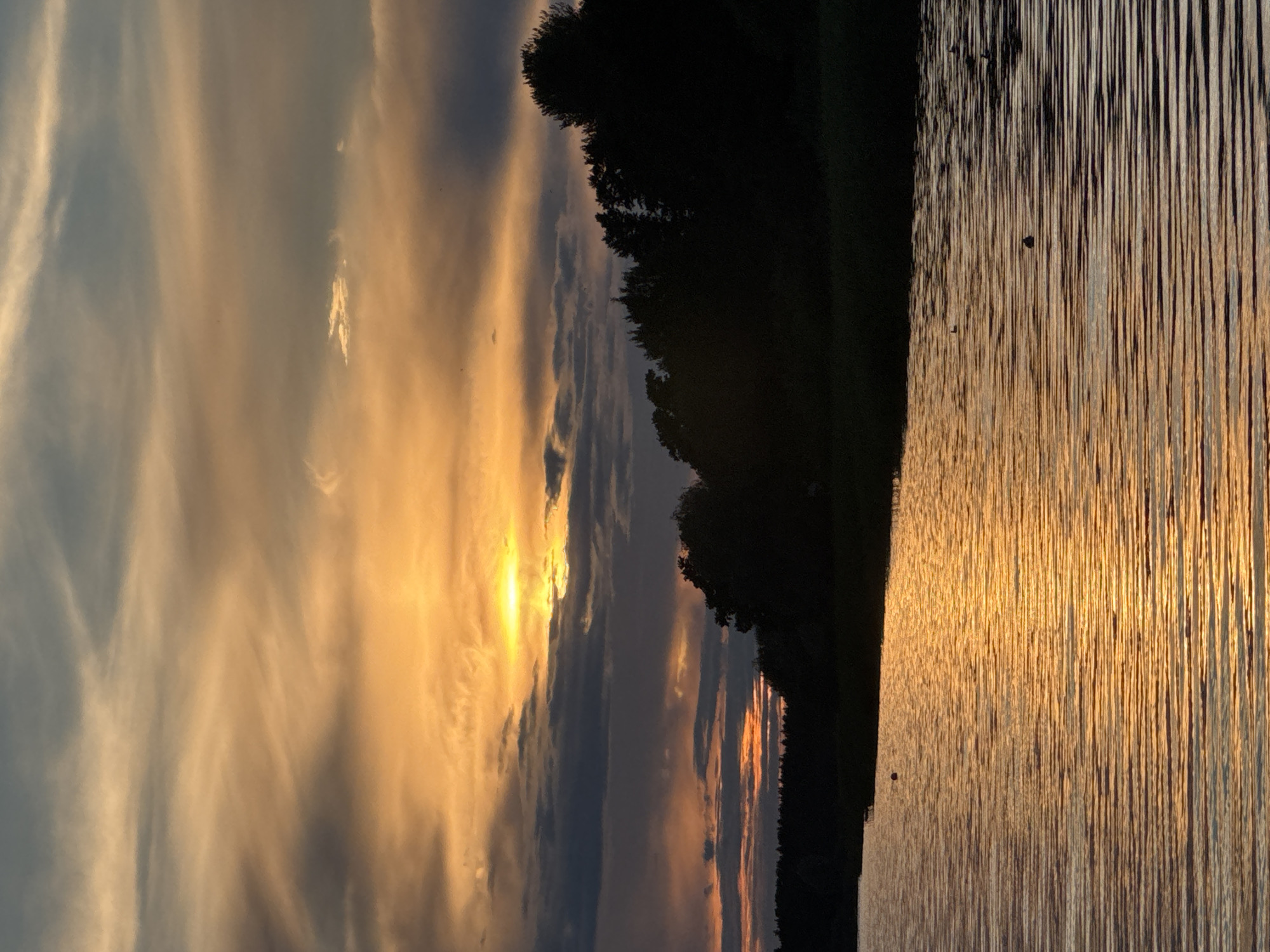 Tallinn shoreline at golden hour — ducks, water, and a guitar