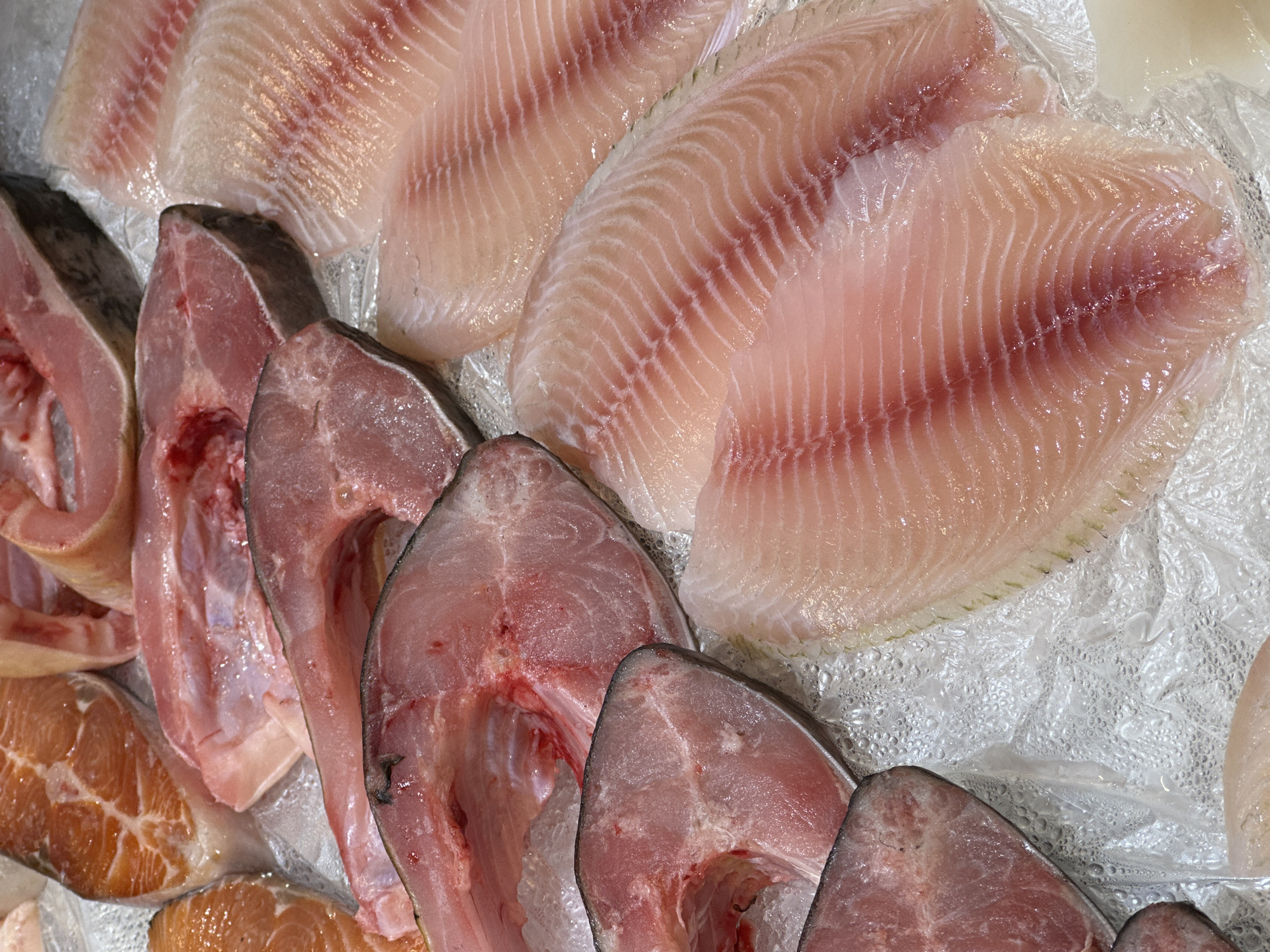 Fresh fish market display captured in Khimki, Russia