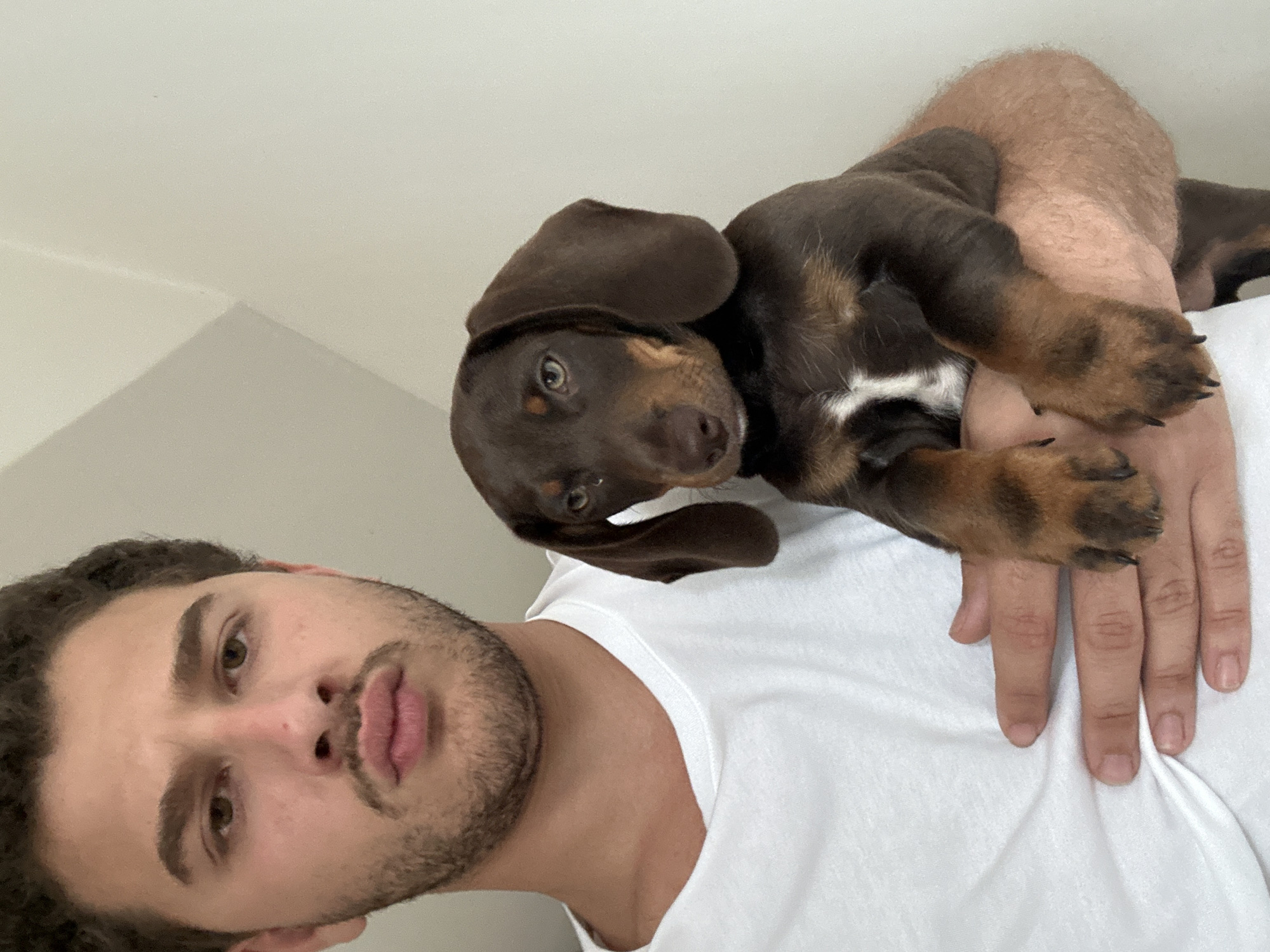 Man holds dachshund puppy in Raanana, Israel