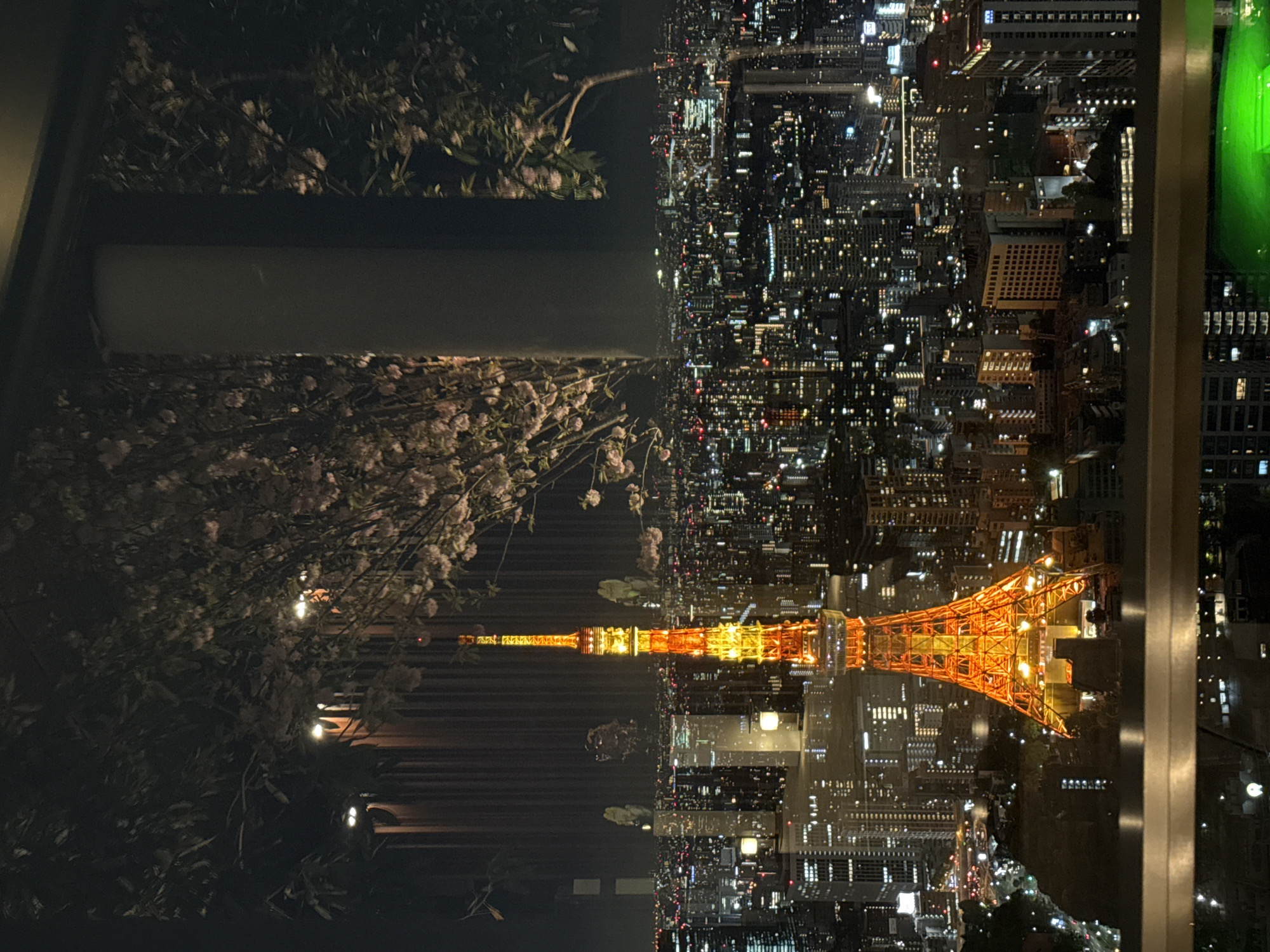 Tokyo cityscape photographed through window with spring blossoms