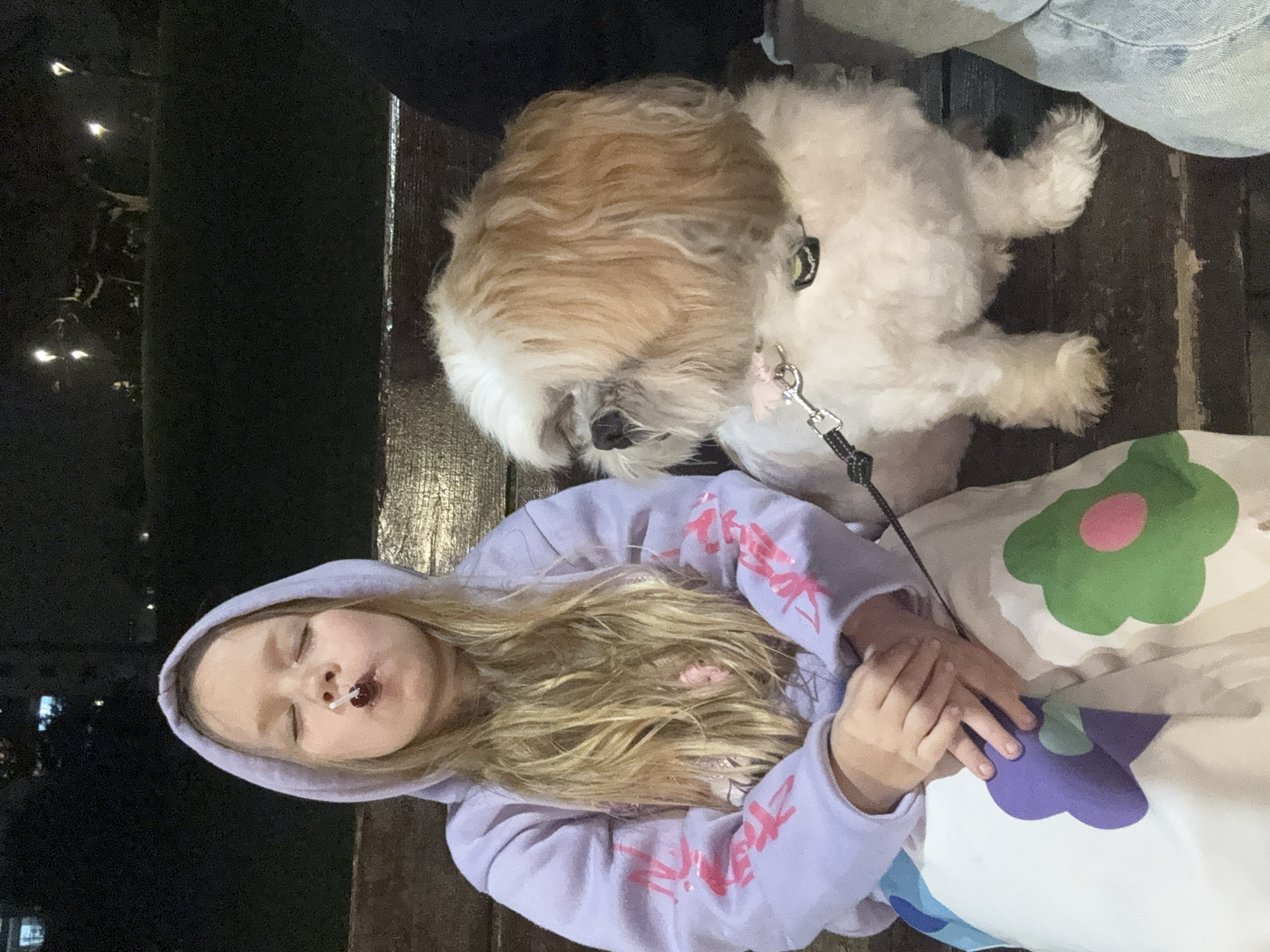 Dog owner and Shih Tzu enjoy park time in Bat Yam