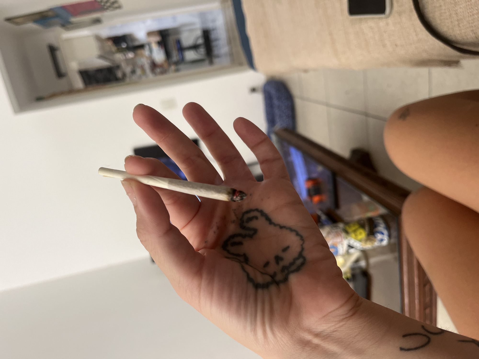 Person with rabbit tattoo photographed smoking indoors in Rio