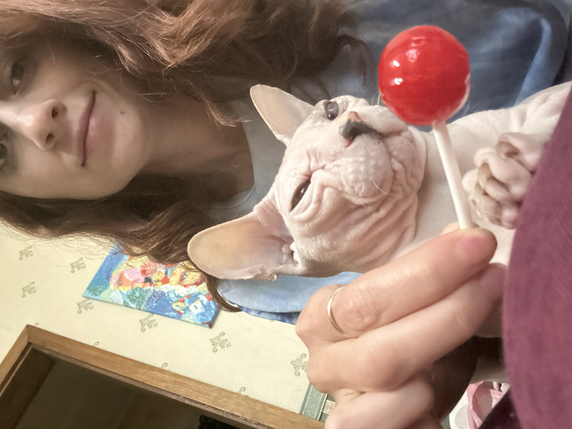 Sphynx cat and tarot cards in a mystical home setting
