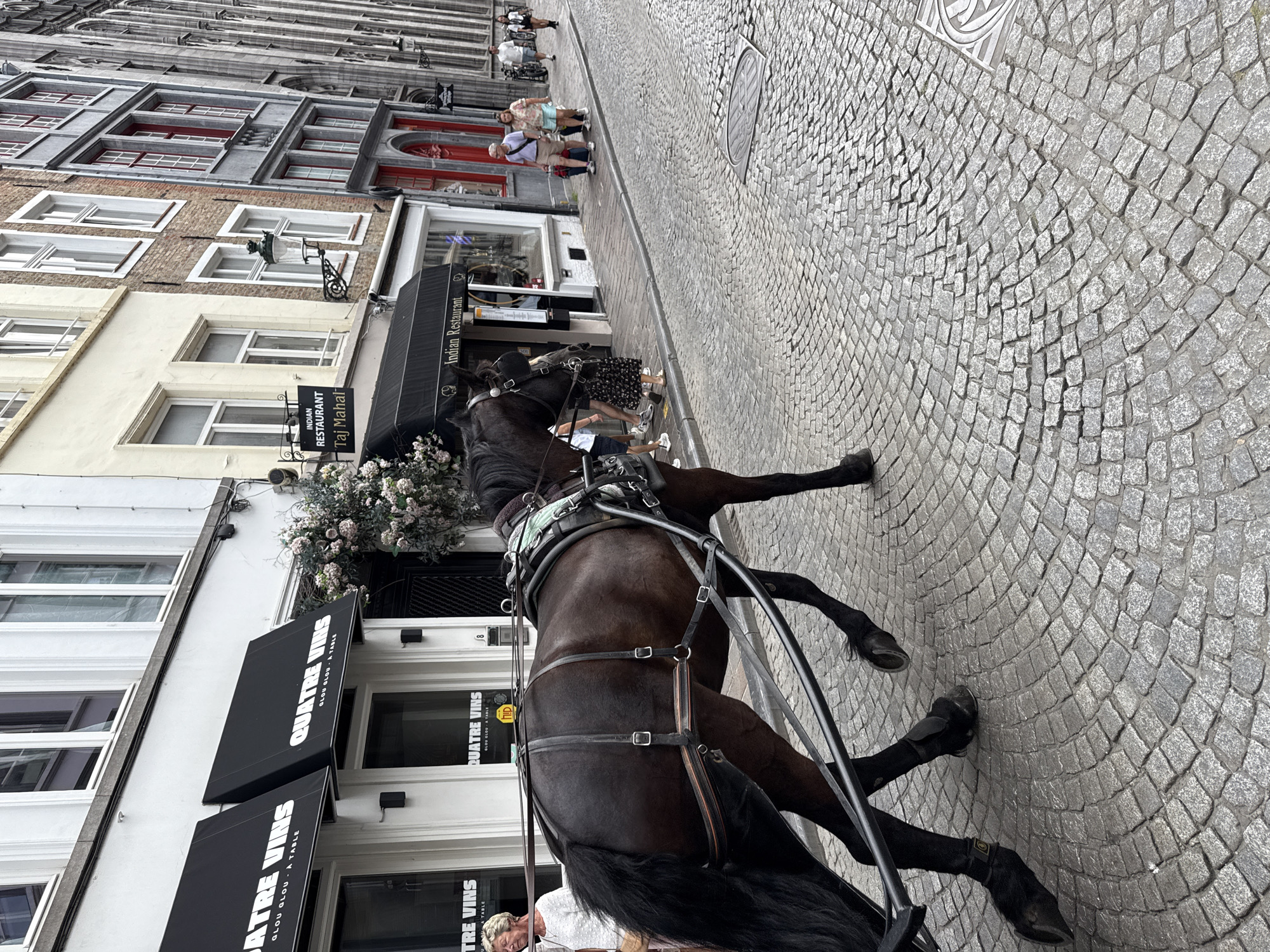 Cobblestones, carriages, and curiosity shops in Bruges