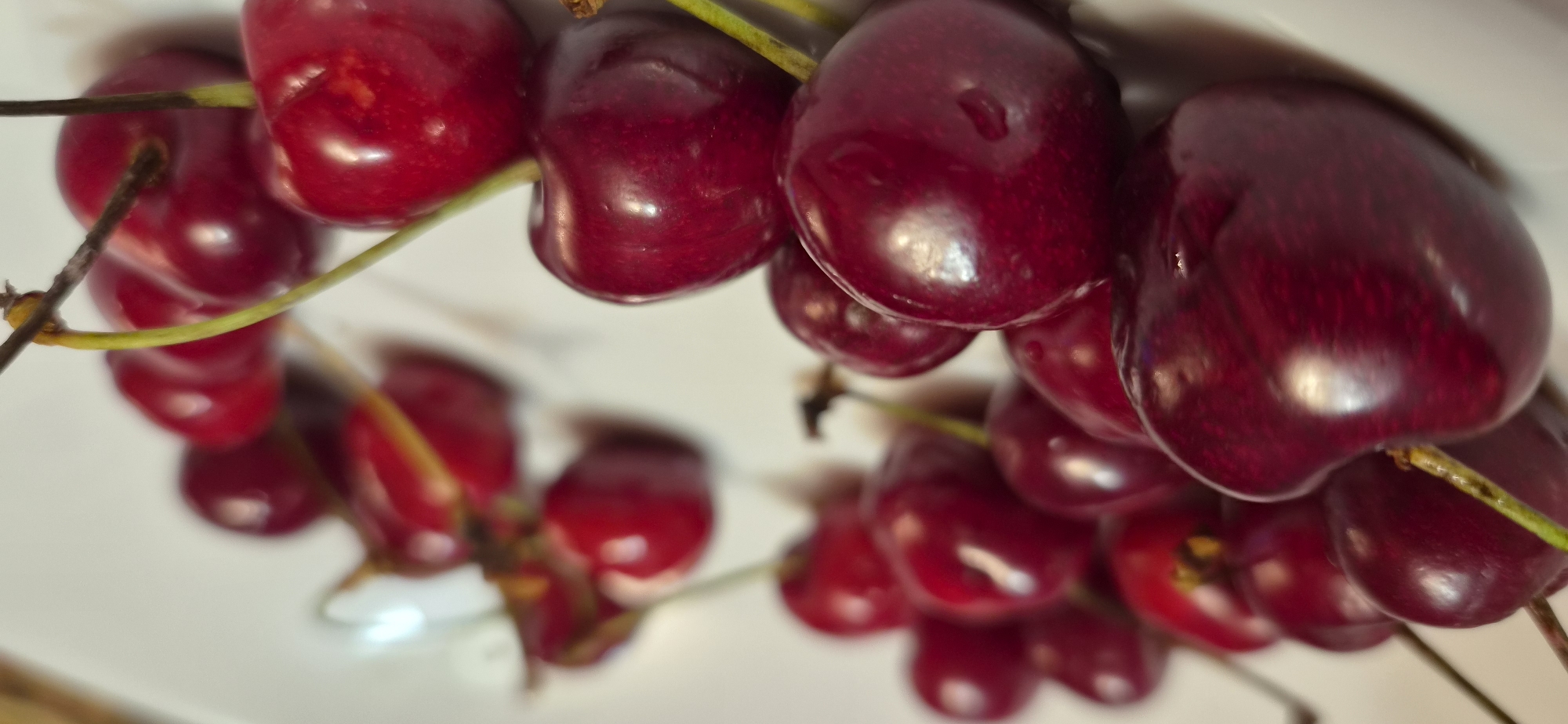 Domestic life documented in Varna through still-lifes and portraits