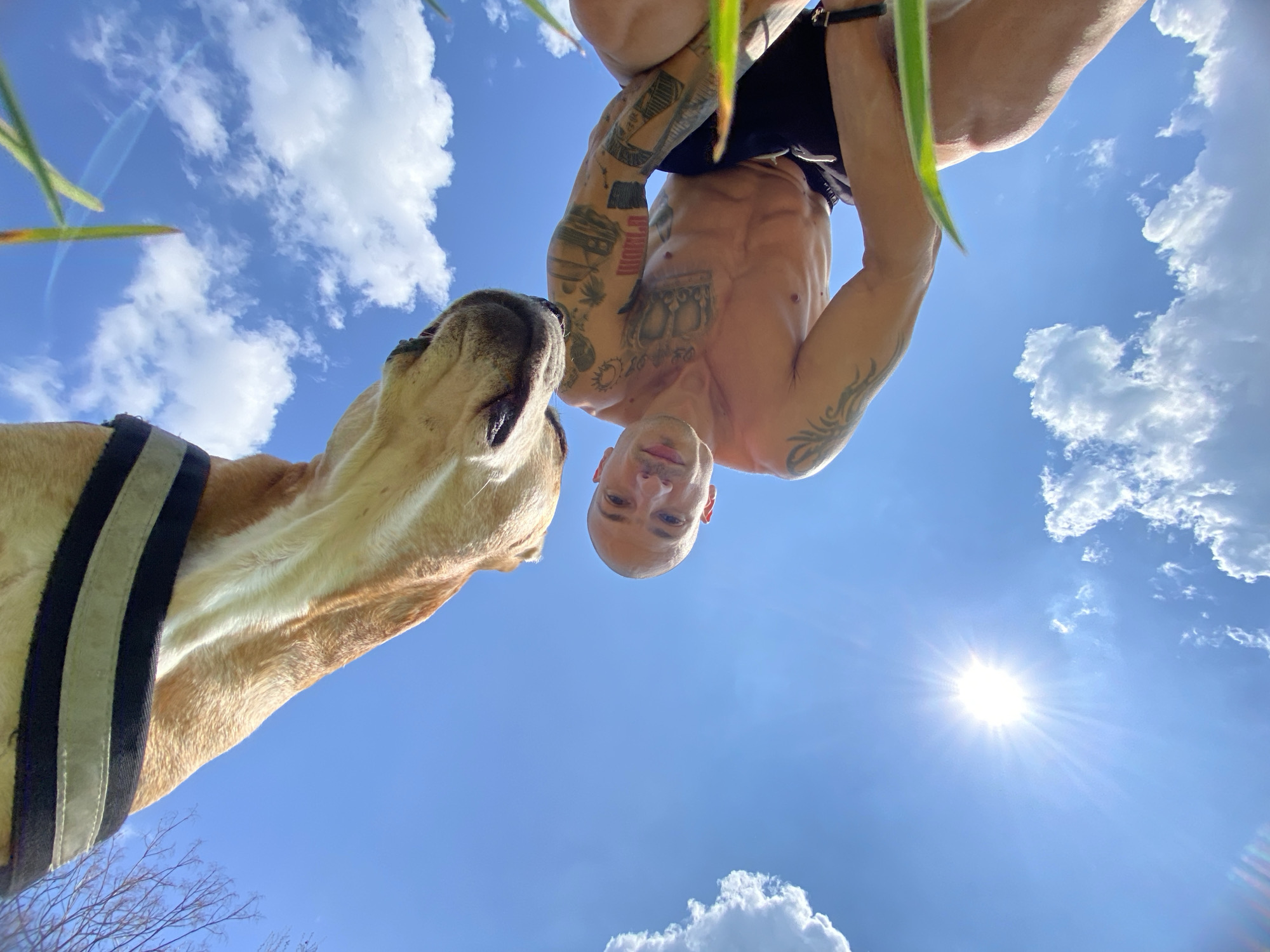 Man and dog photographed together in Pleven, Bulgaria