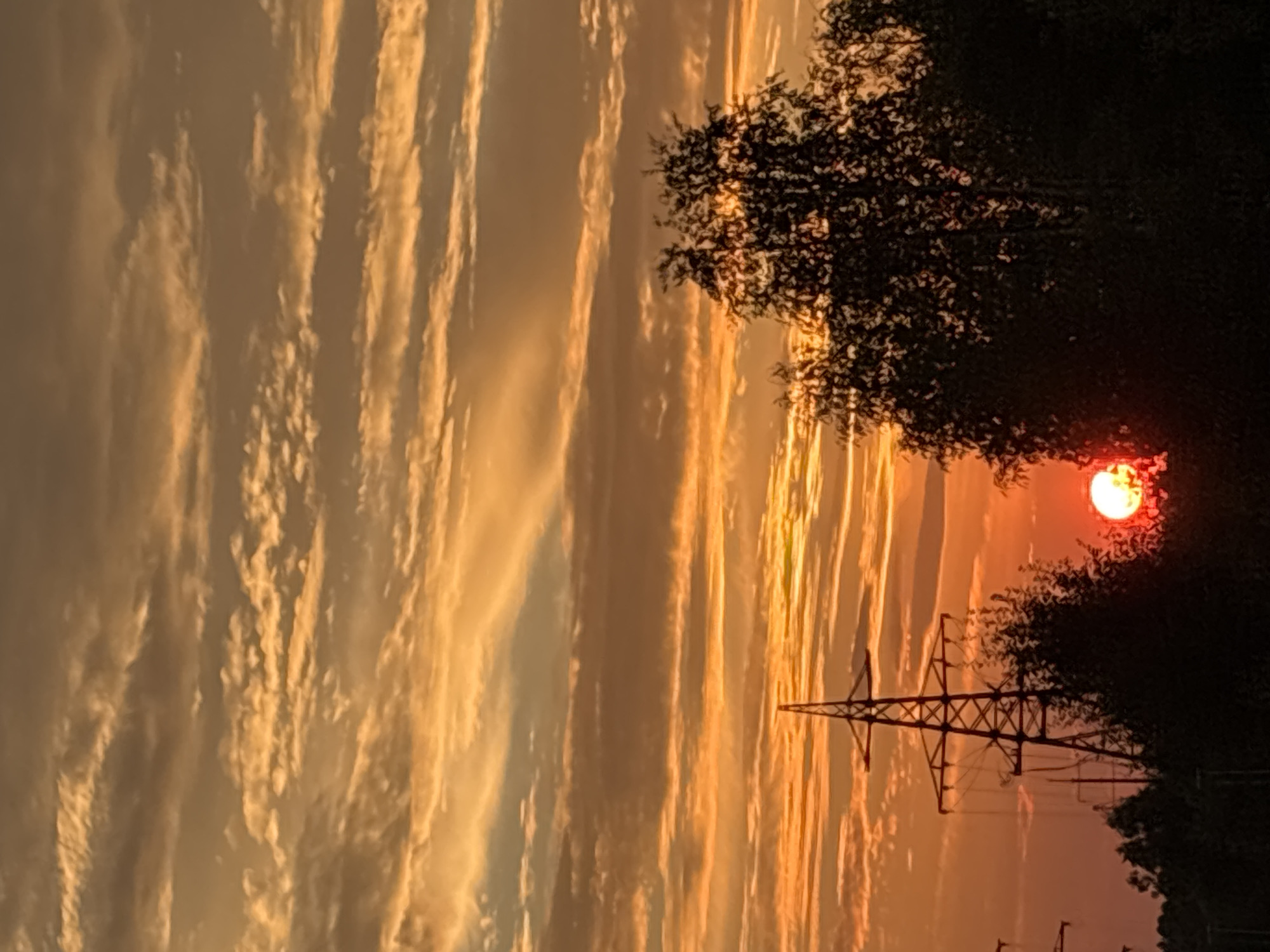Sunset over Nizhnevartovsk's treeline, sky shifting through warm tones