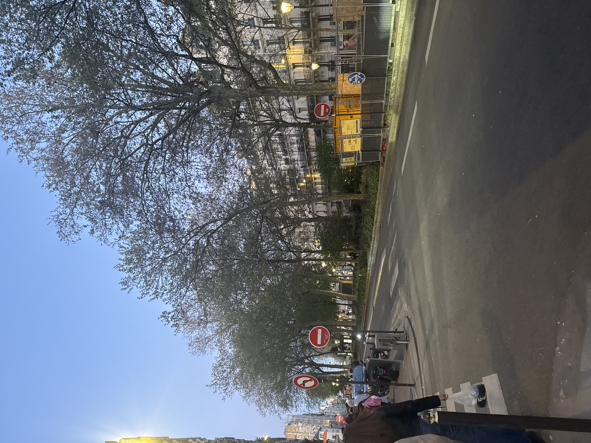 Spring evening captured on tree-lined Paris street