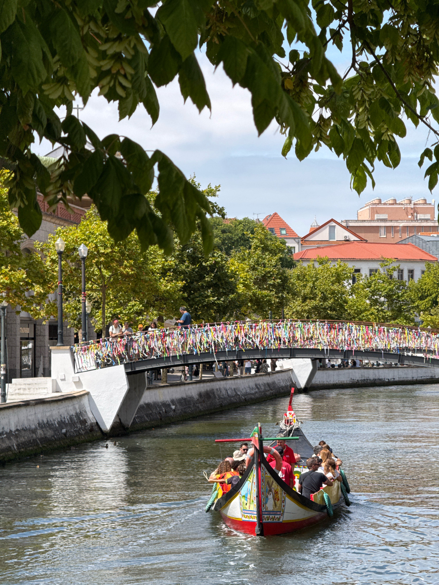 Moliceiro boats, canals, and landmarks across Aveiro