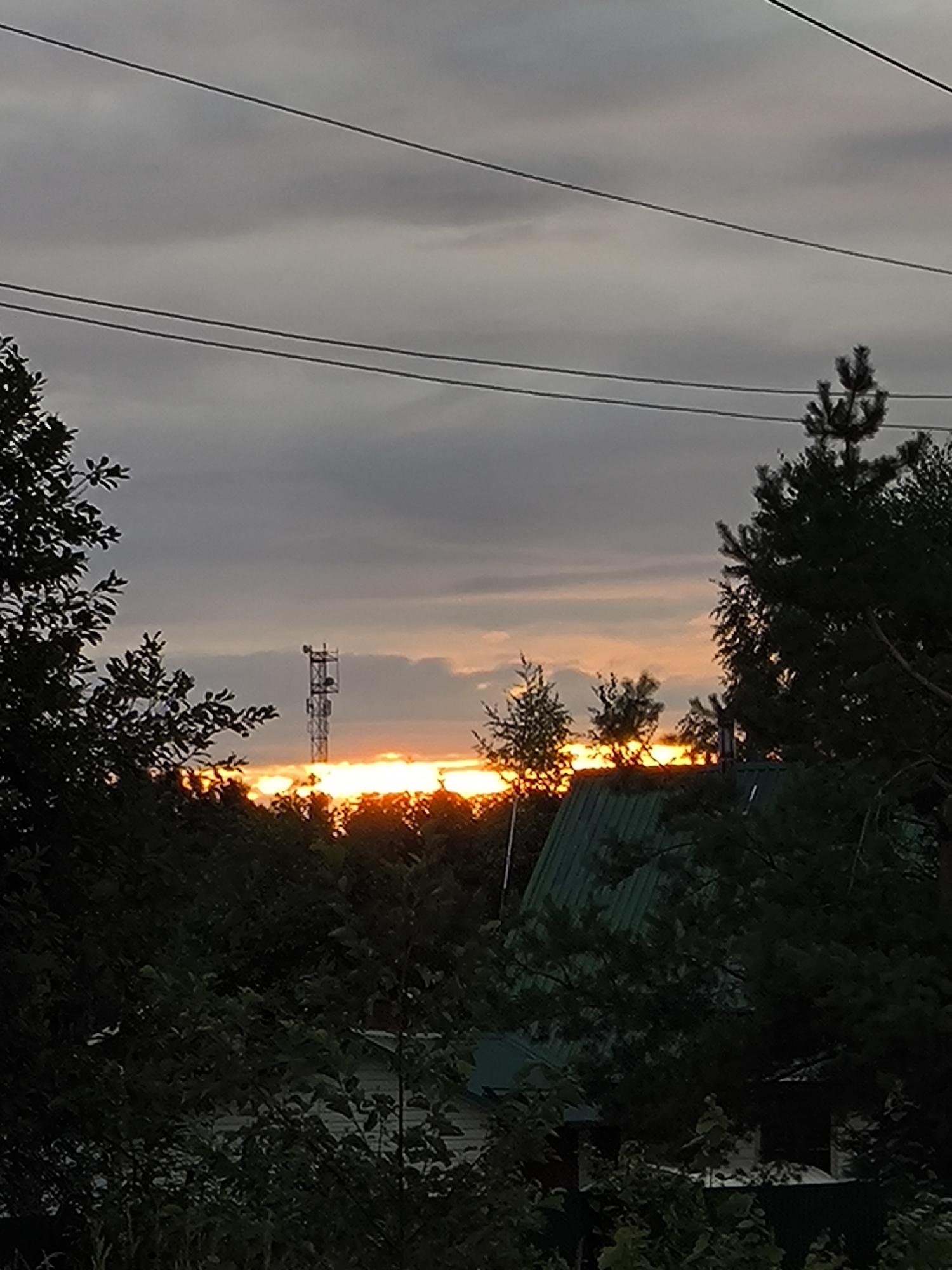 Sunset walk through rural roads, wildflowers, and local wildlife