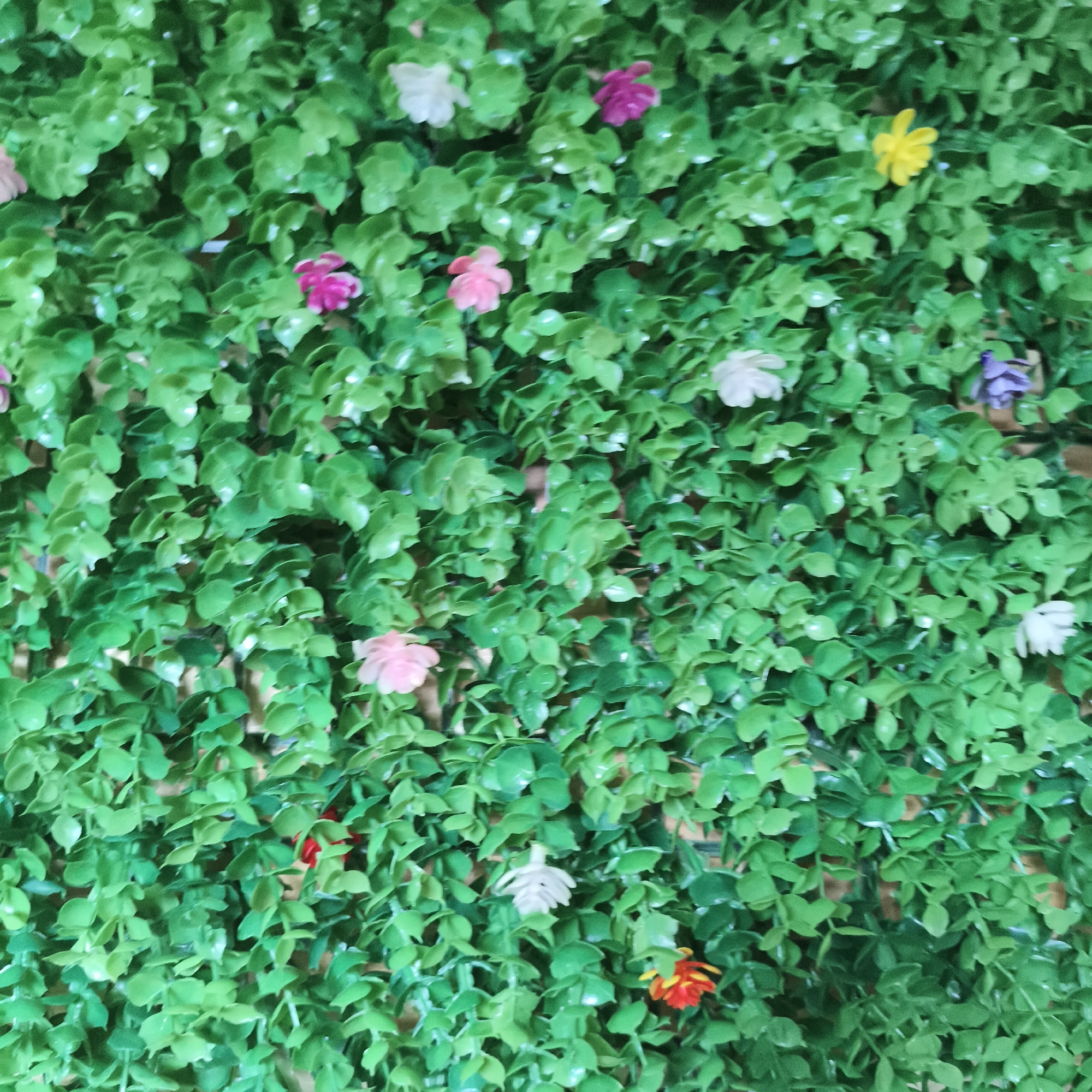 Colorful artificial flower wall display spotted in Chaikovsky, Russia