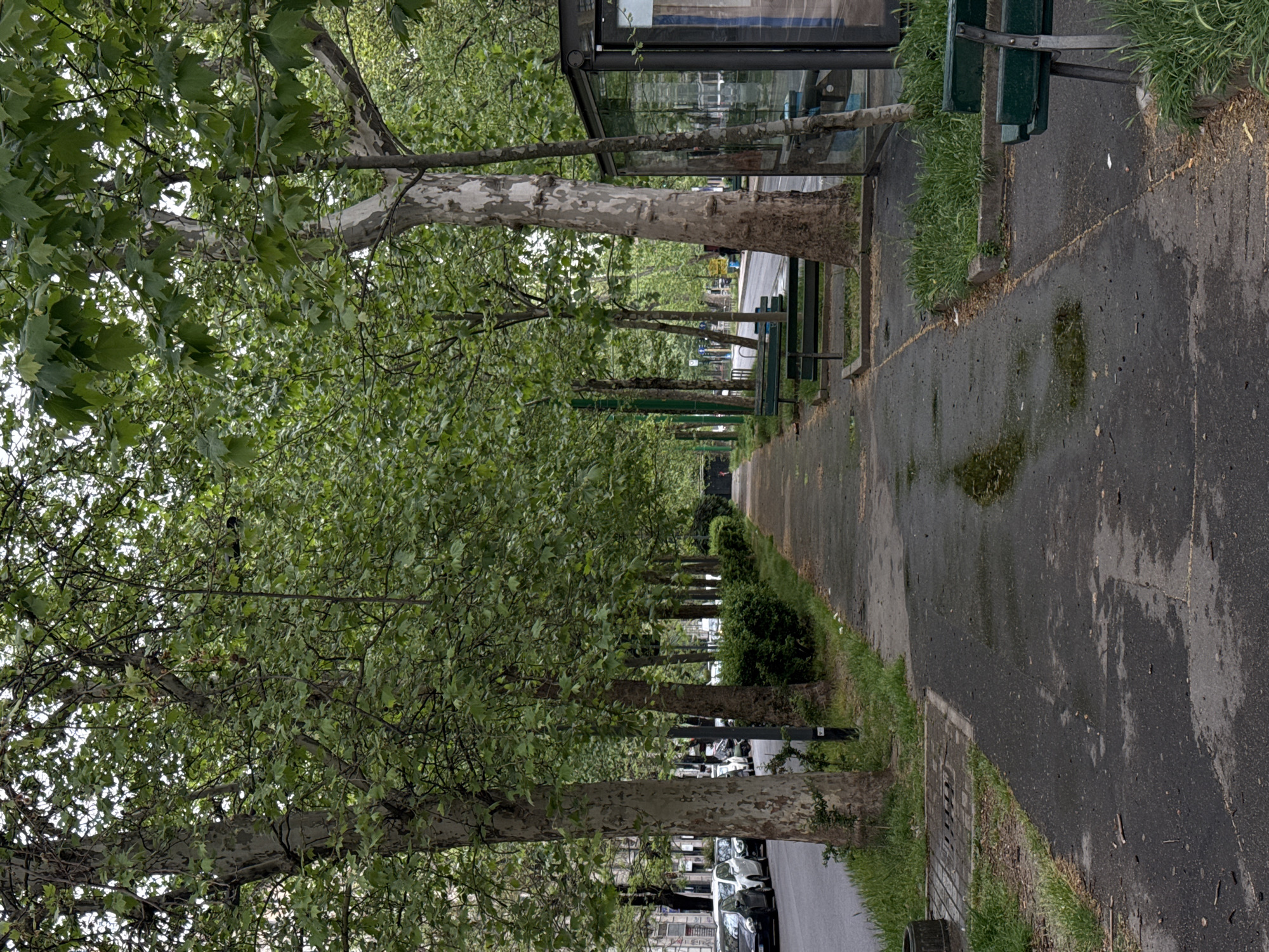 Street scene captured on Viale Beatrice d'Este in Milan
