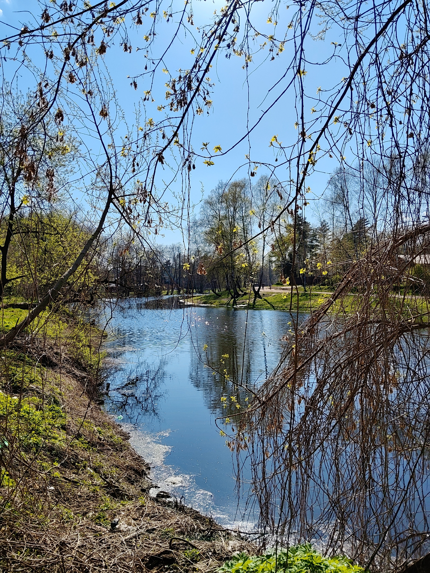 Spring afternoon documented in Udelnaya, Russia residential area
