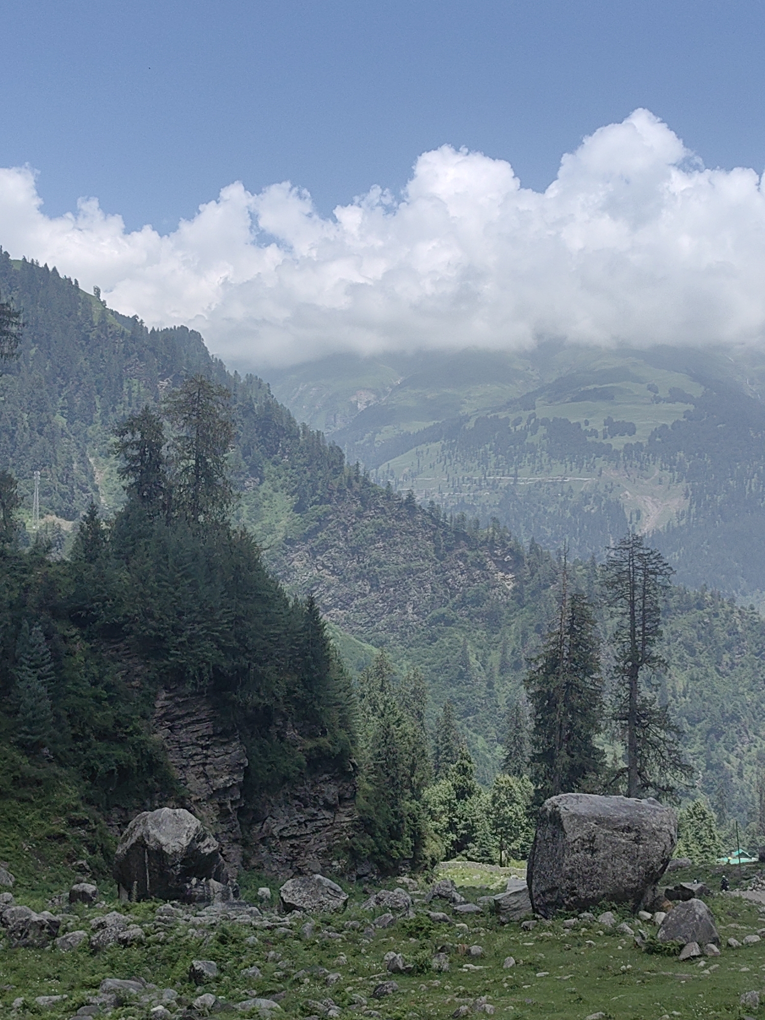 Sheep and goats graze across Solang Valley's rocky hillsides