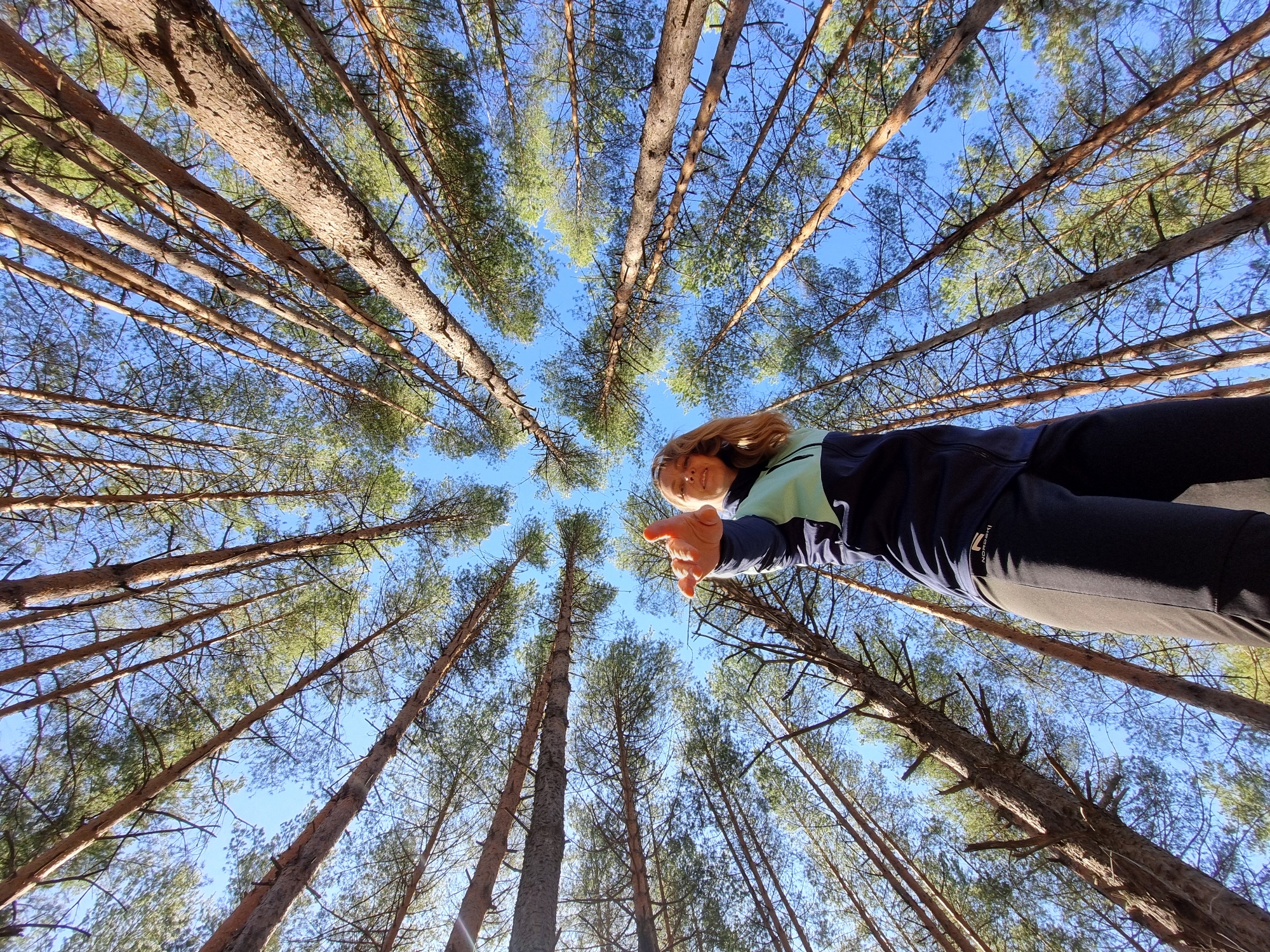 Woman photographed in pine forest during morning in Chaikovsky