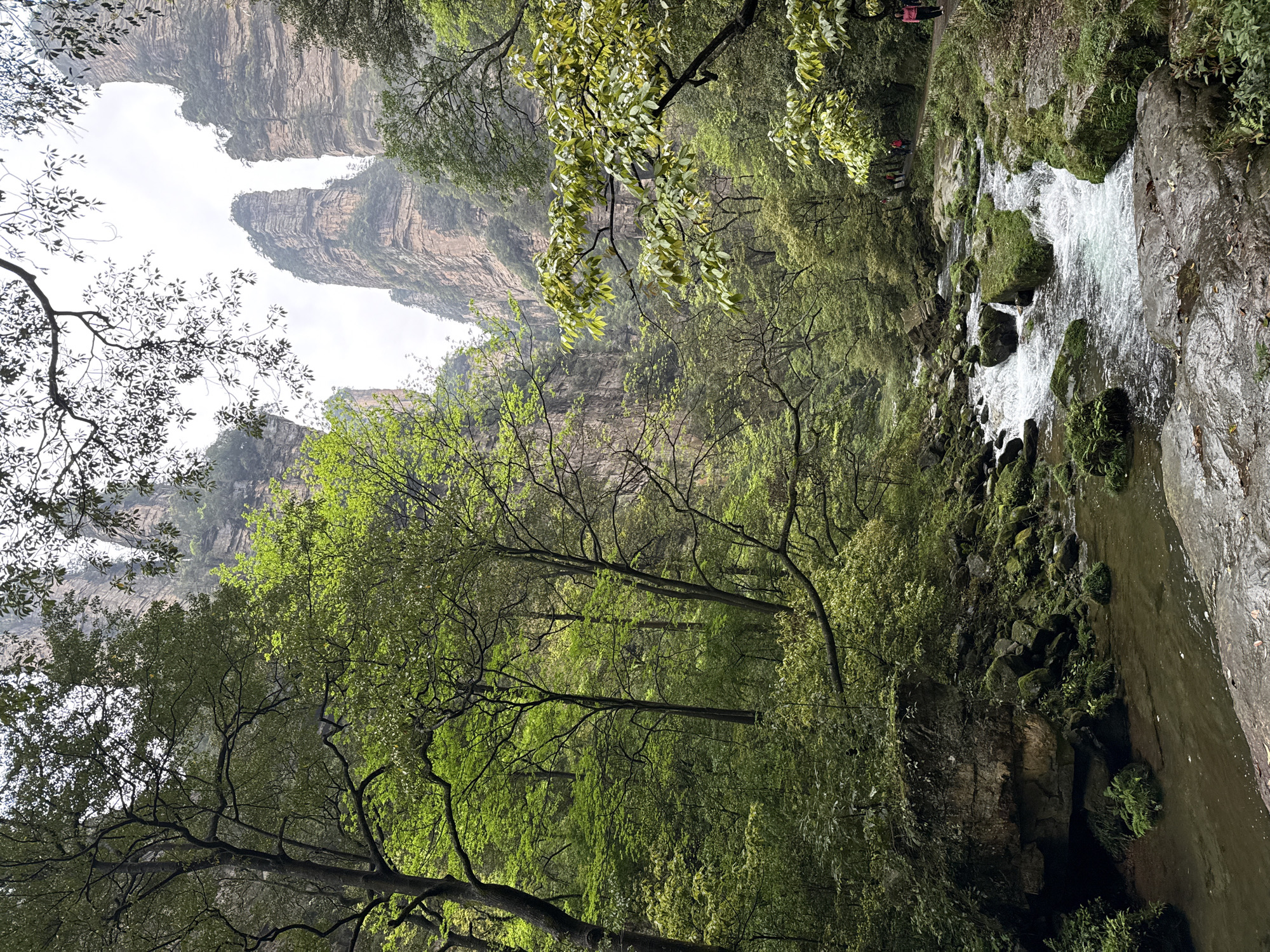 Witness documents Zhangjiajie's iconic rock formations under cloudy skies