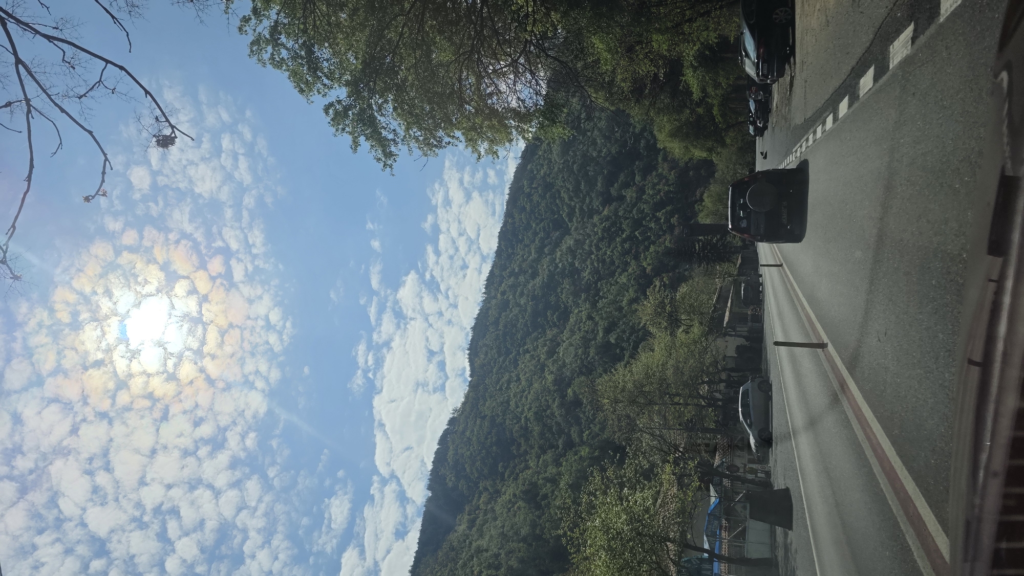 Spring morning scenes documented along Stara Kresna roadway