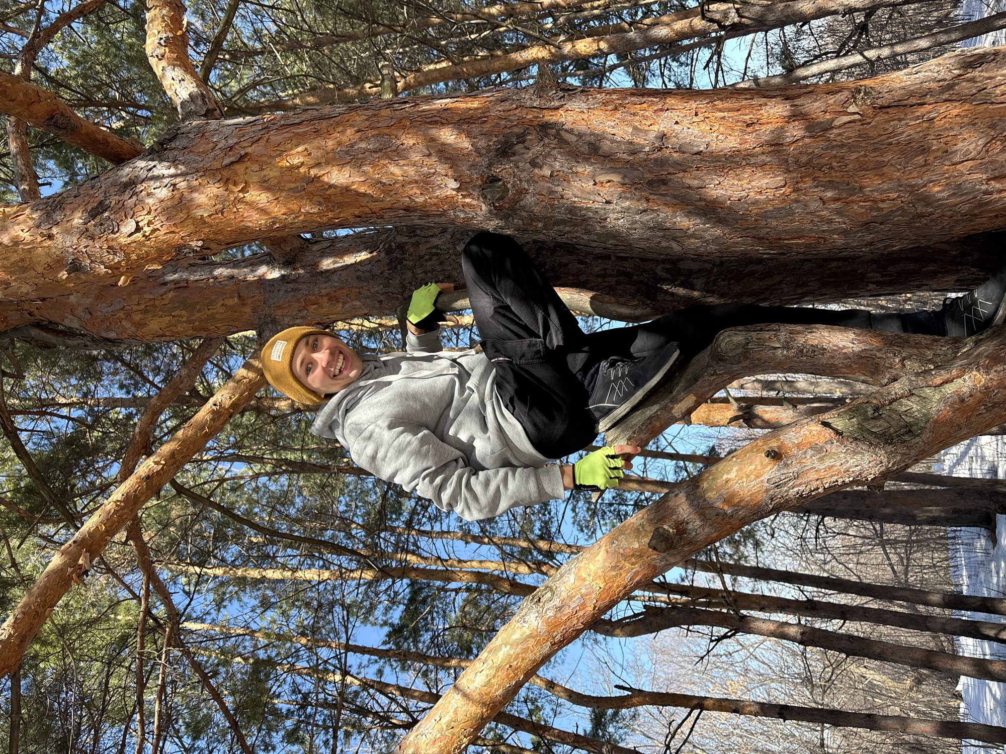 Friends climb trees, take selfies in snowy Russian forest