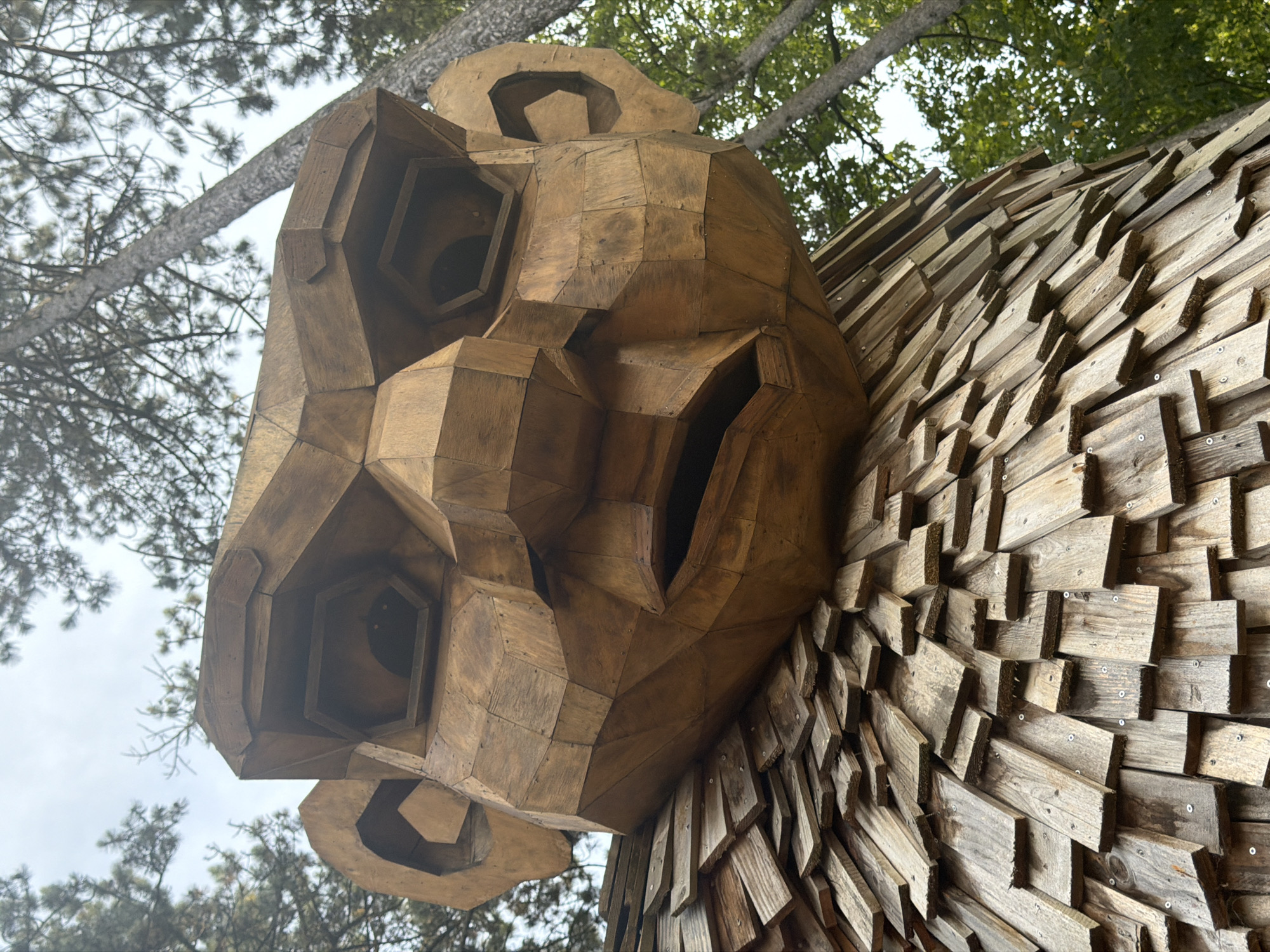 Giant wooden troll sculpture explored in Luxembourg forest