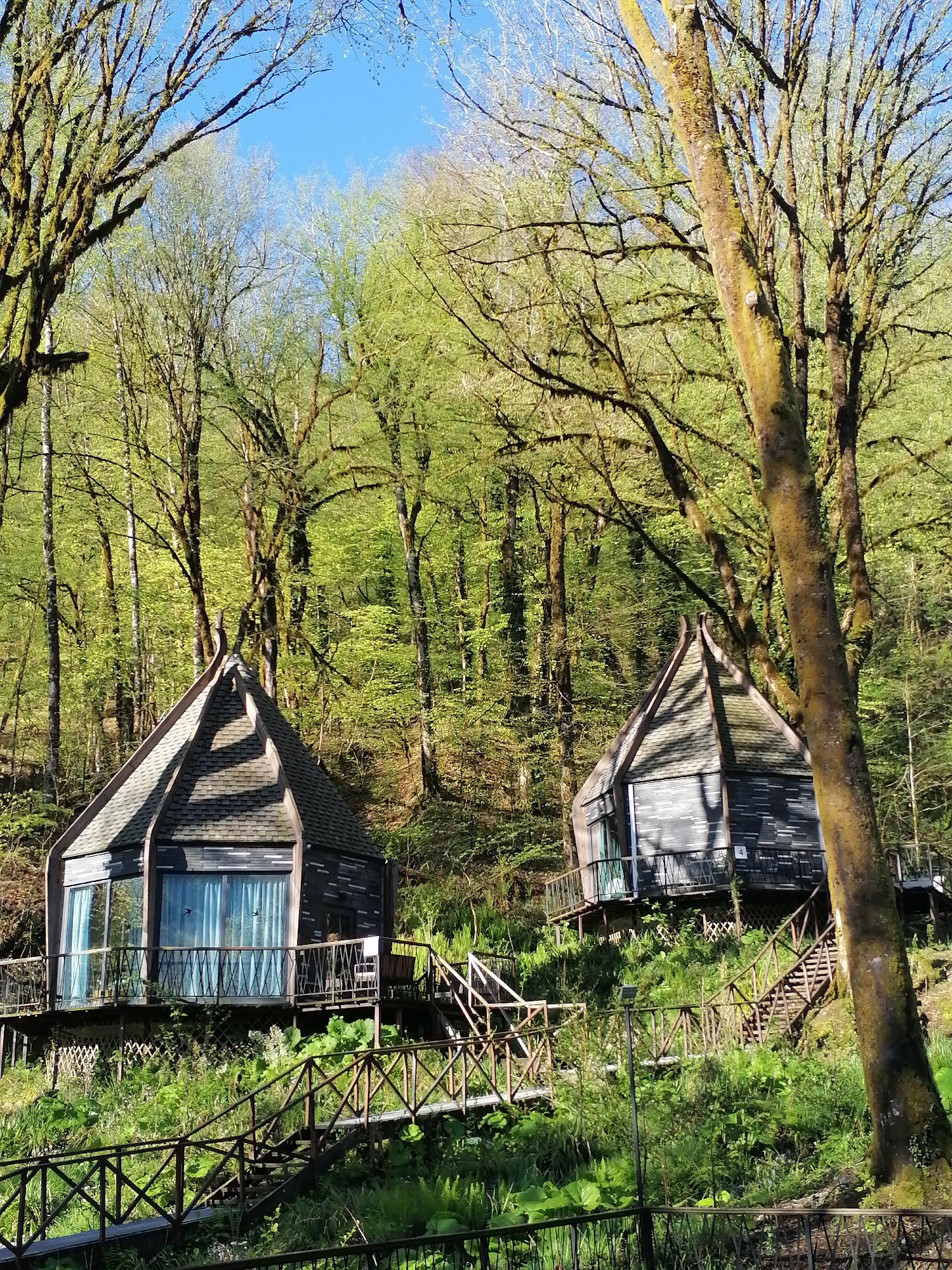 Forest cabins and woodland scenes documented in rural Russia