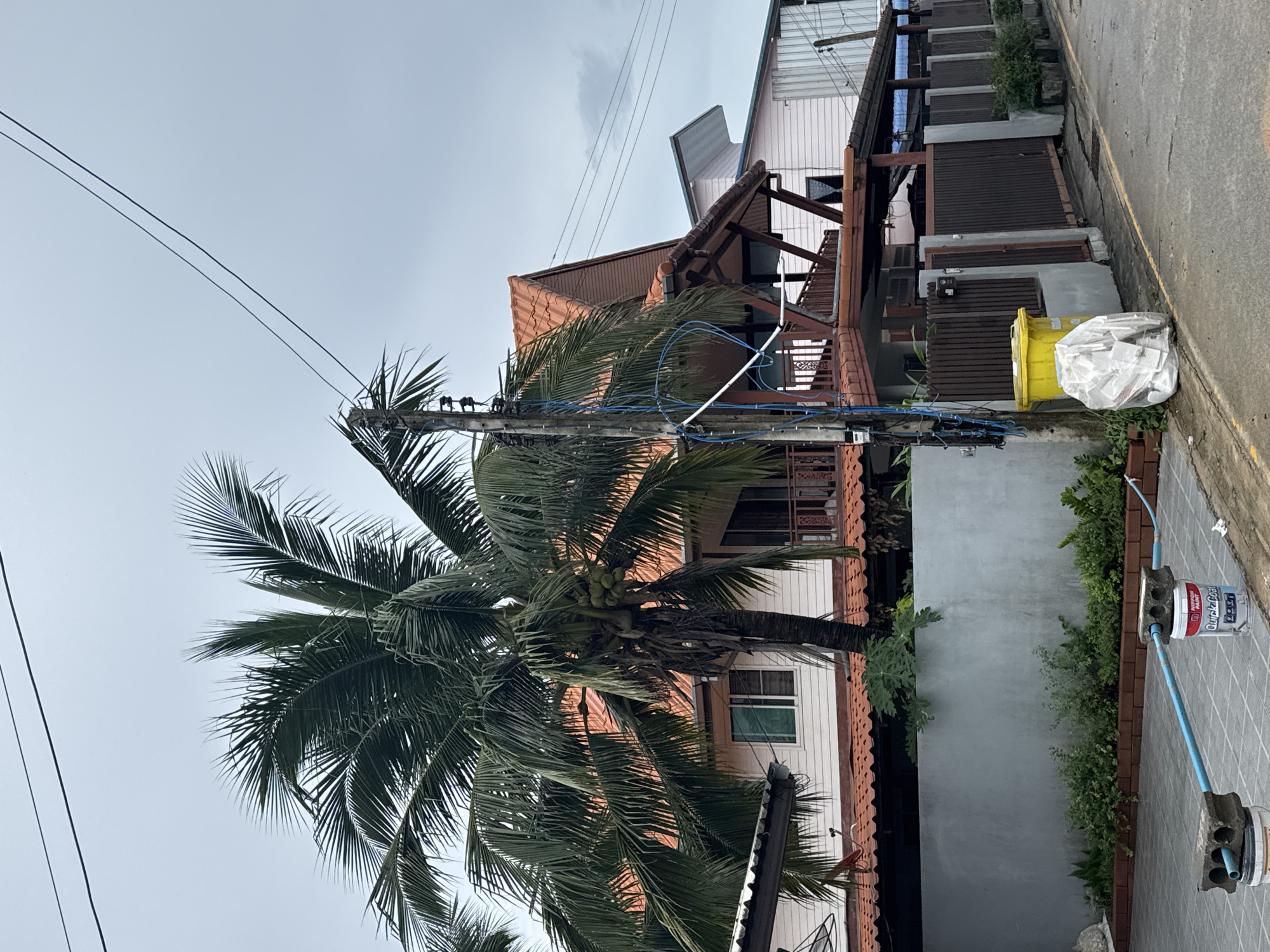 Ordinary life documented in Rawai, Thailand neighborhood walkthrough