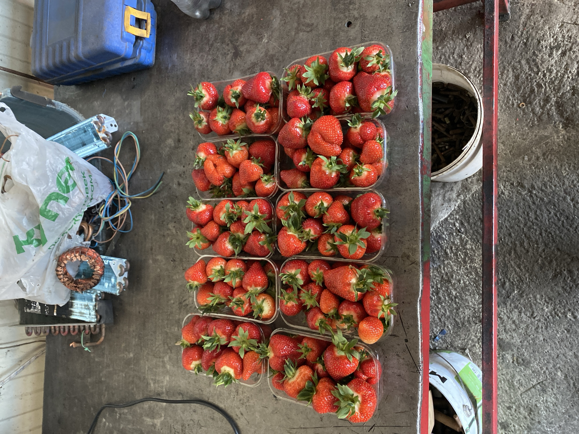 Strawberry vendor operates in Neftyanik workshop facility