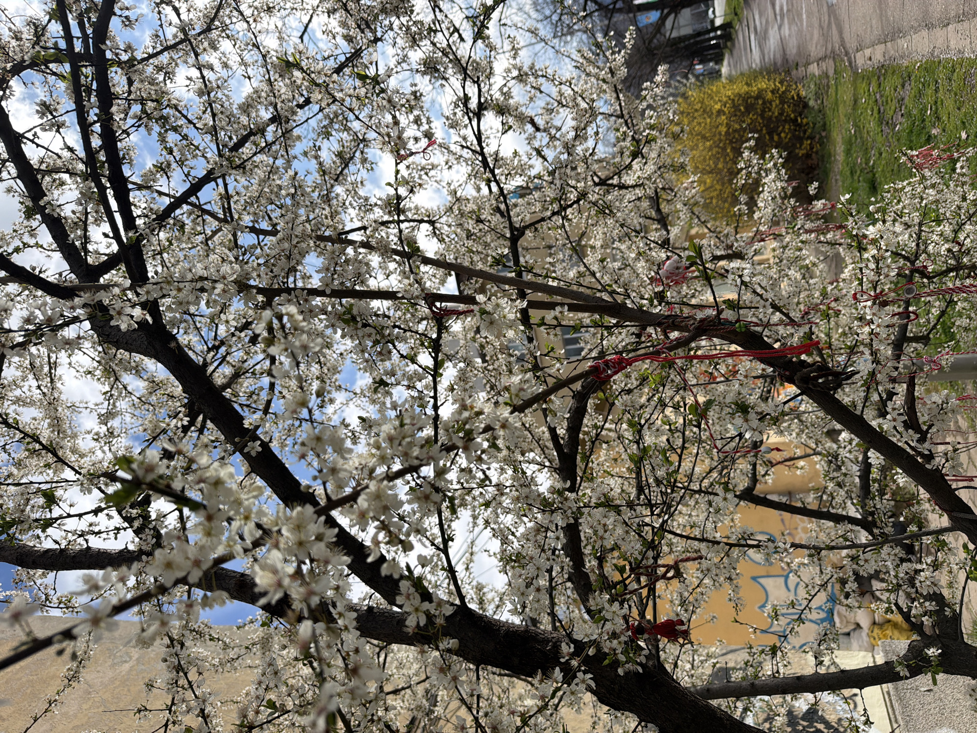 Spring traditions and modern architecture observed in Sofia