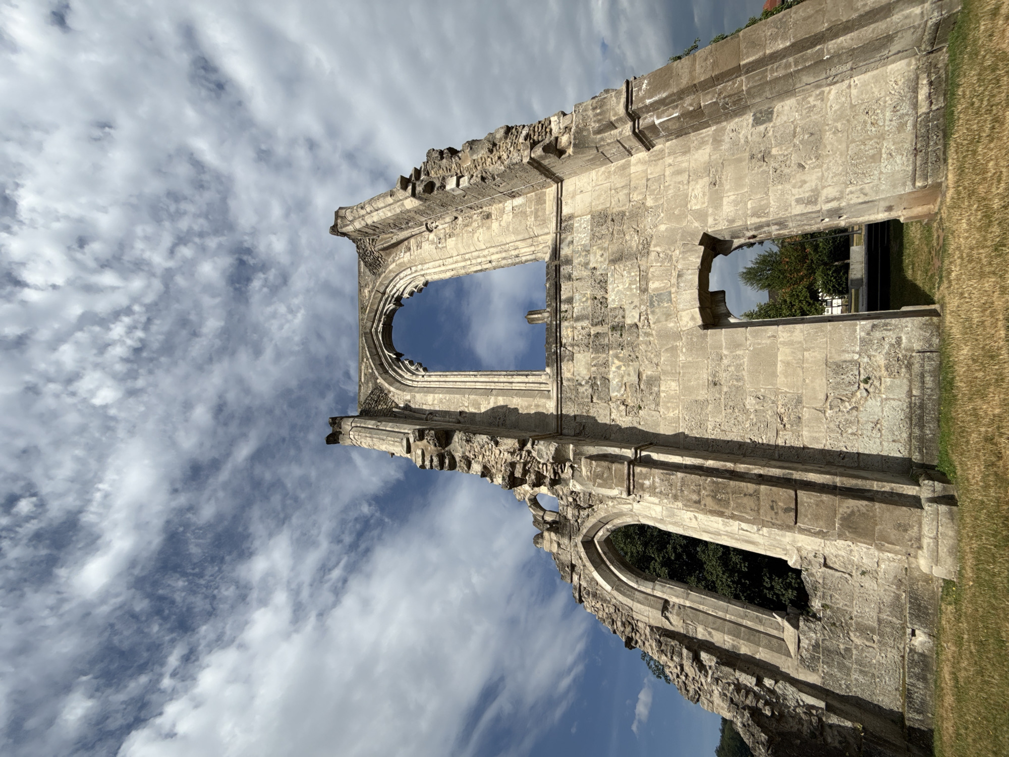 French Bulldog explores the ruins of Walkenried Abbey