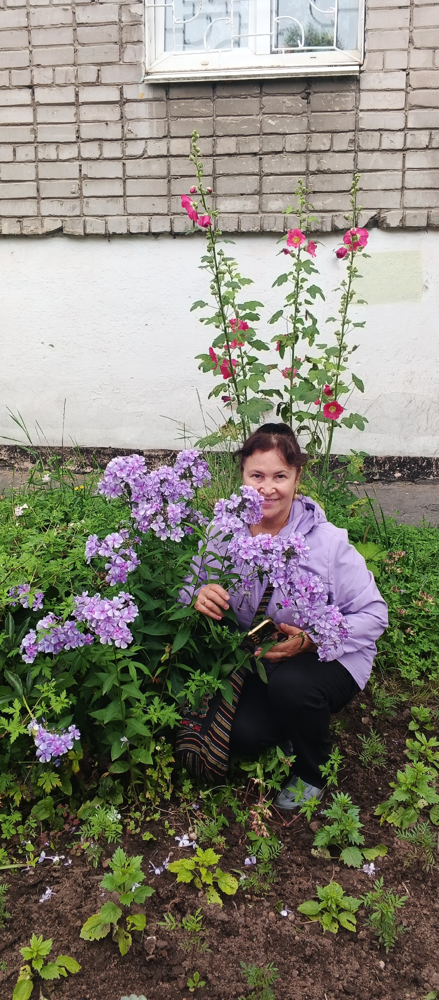 Summer morning in an Izhevsk garden, flowers in full bloom