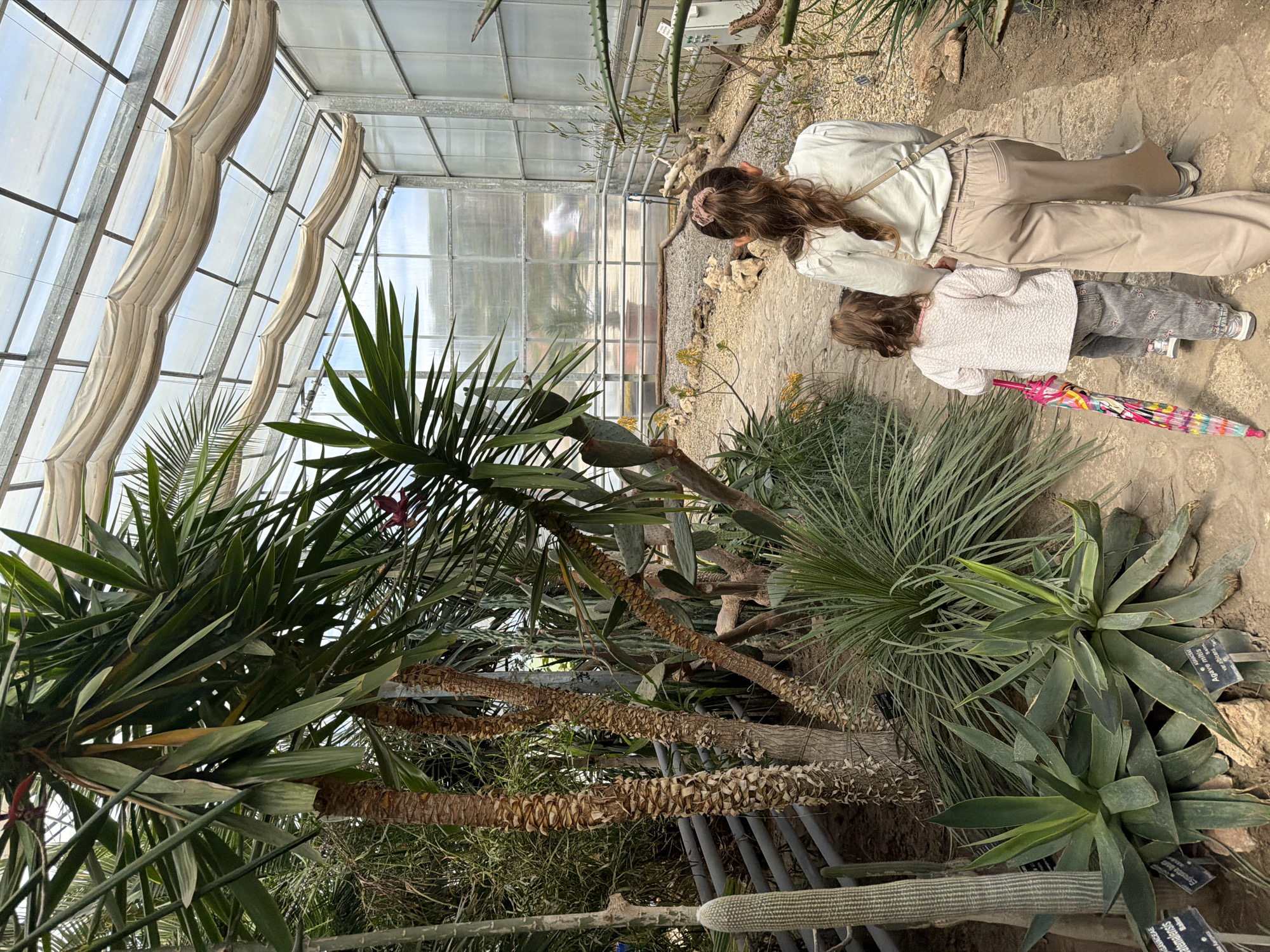 Spring visitors explore Balchik Botanical Garden greenhouses and tulip displays
