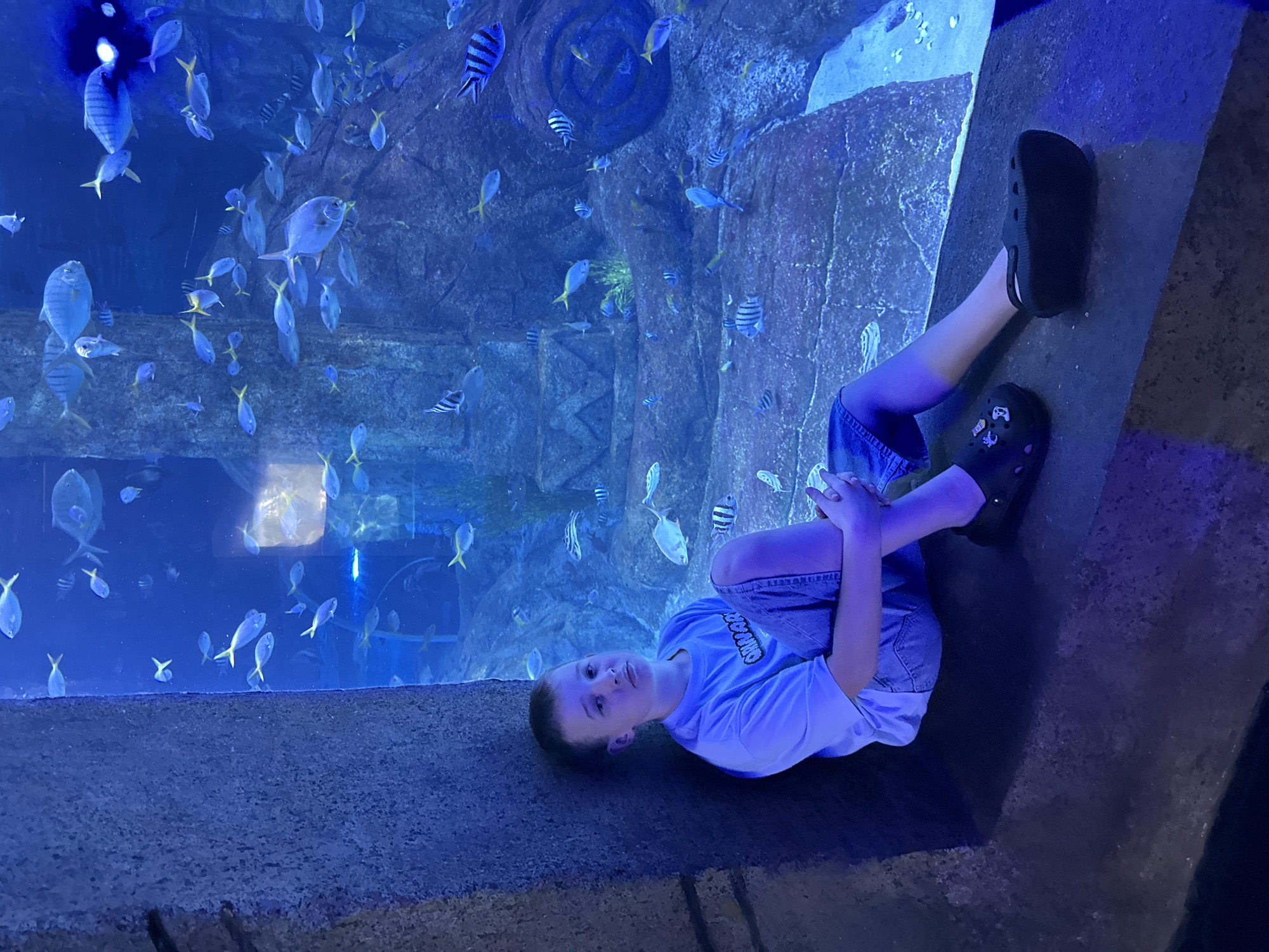 Mermaid performers entertain crowds at Vietnam aquarium show