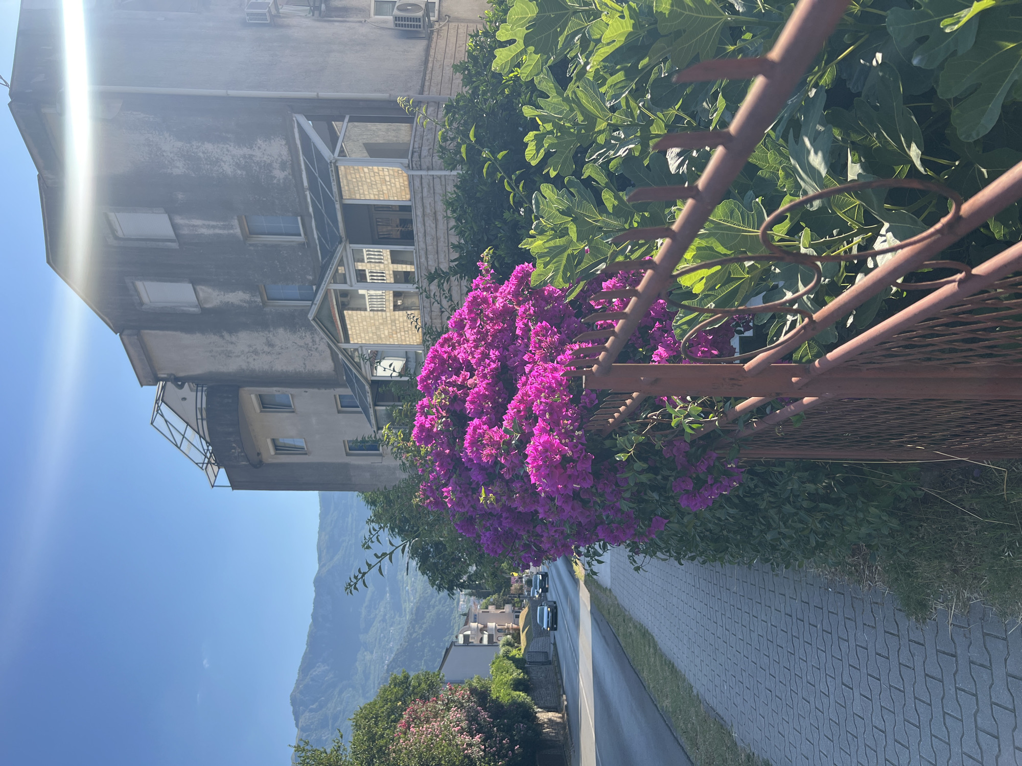 Street-level details from a Budva neighborhood on a summer morning