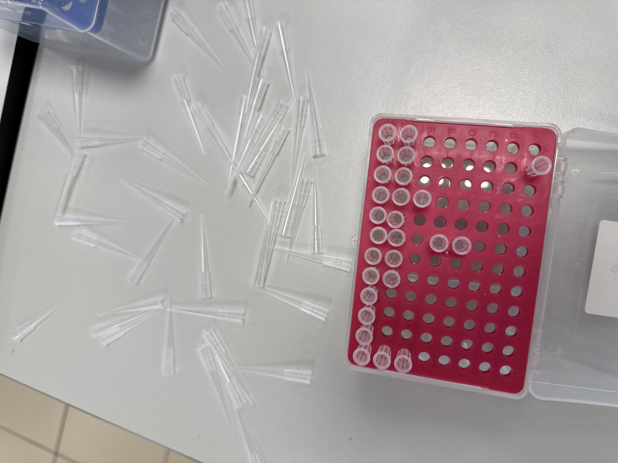 Laboratory worker documents routine operations at Moscow facility