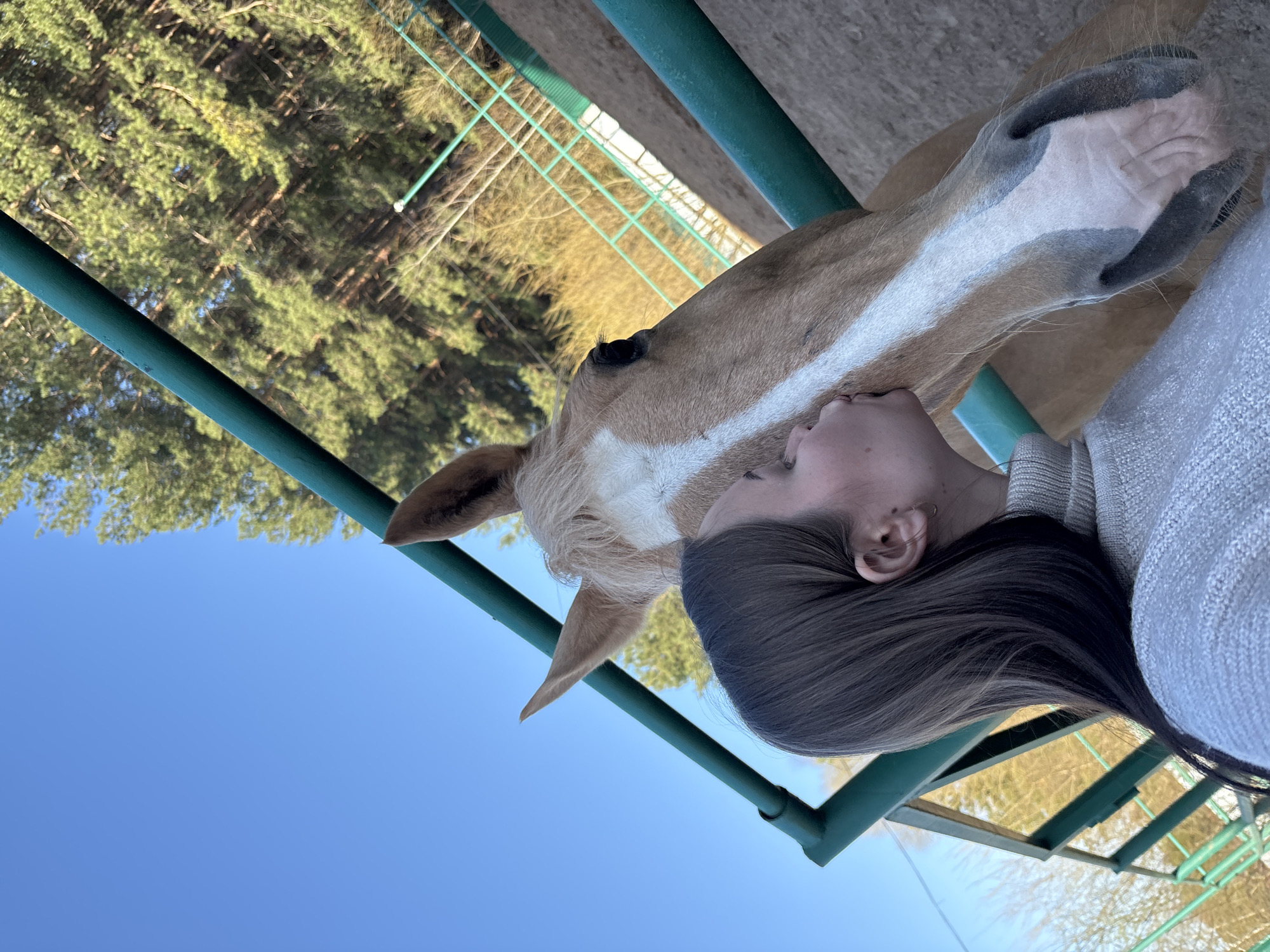 Horse riding session captured at Russian equestrian facility
