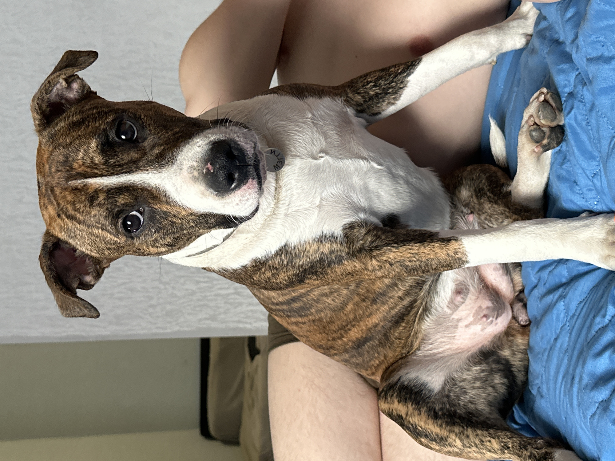 Quiet pet moments captured in Trudovaya home