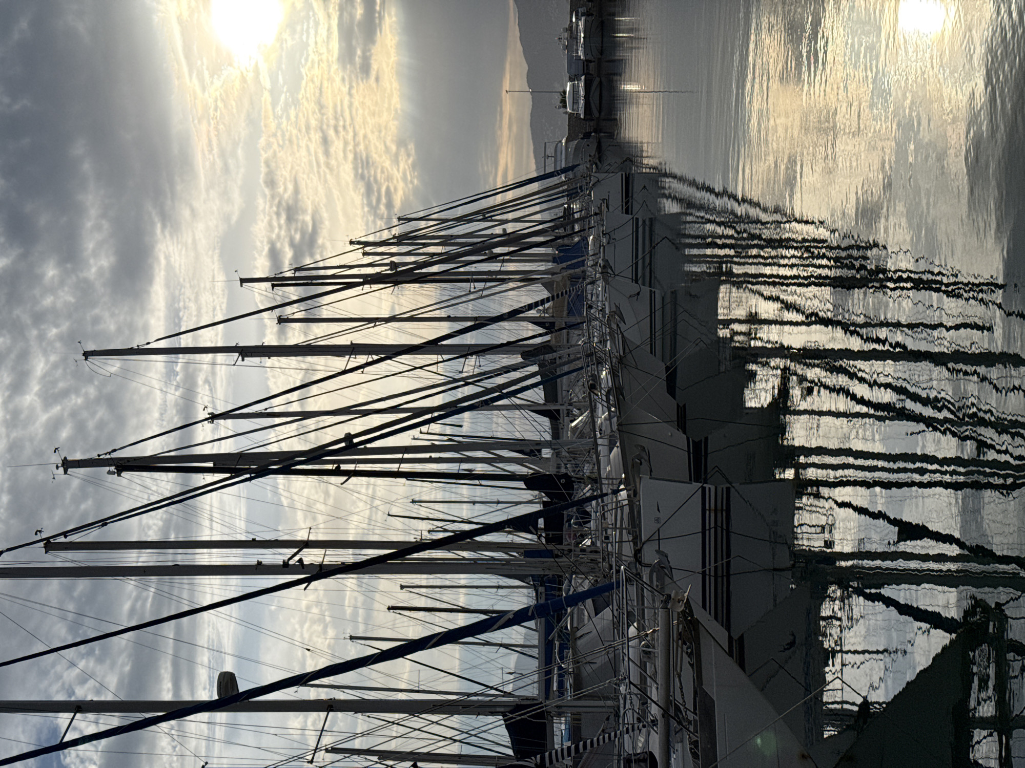 Peaceful yacht marina scene documented in Cannes harbor
