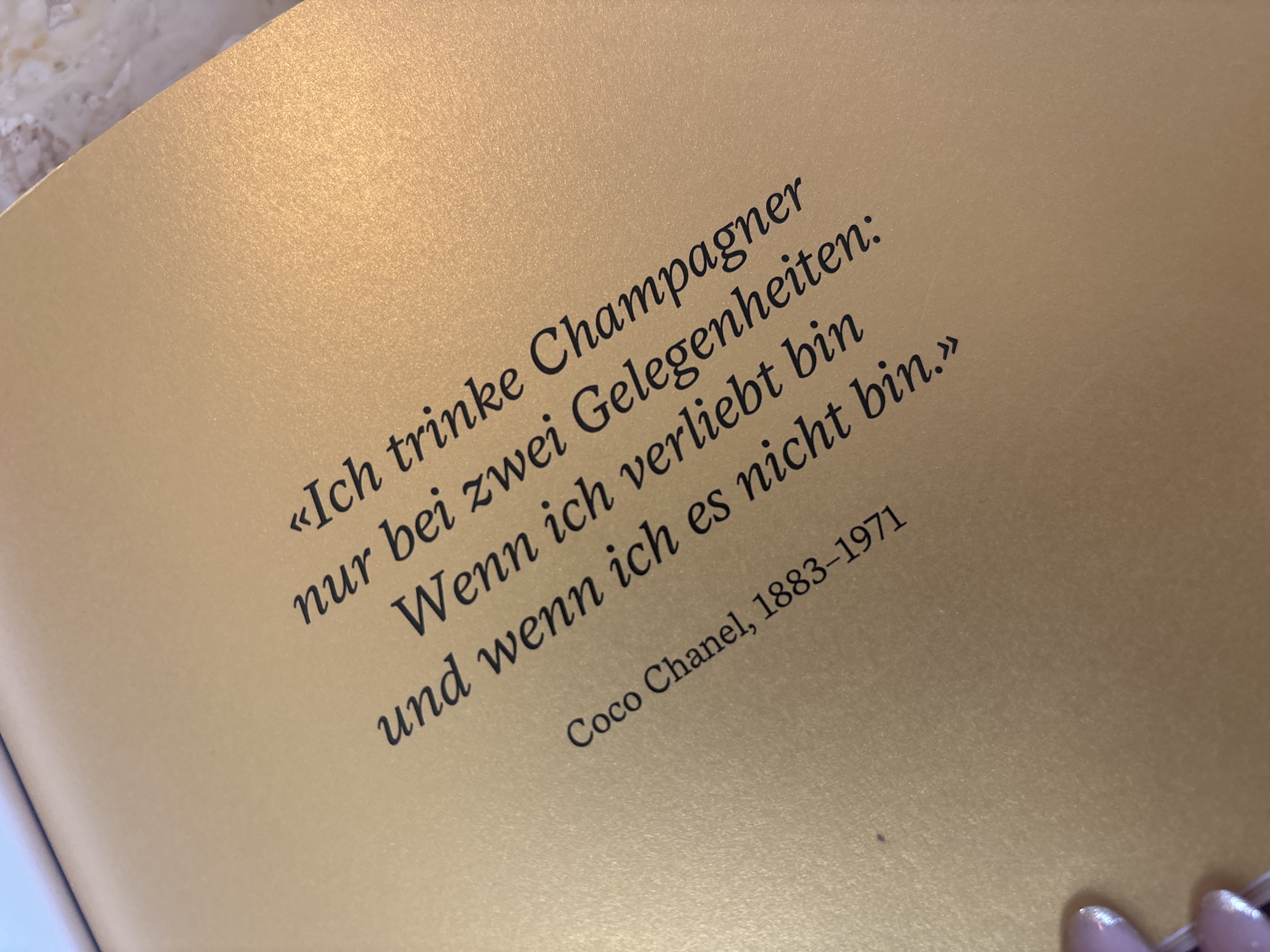 Tourist reads German literary quotes, photographs Zurich landmarks