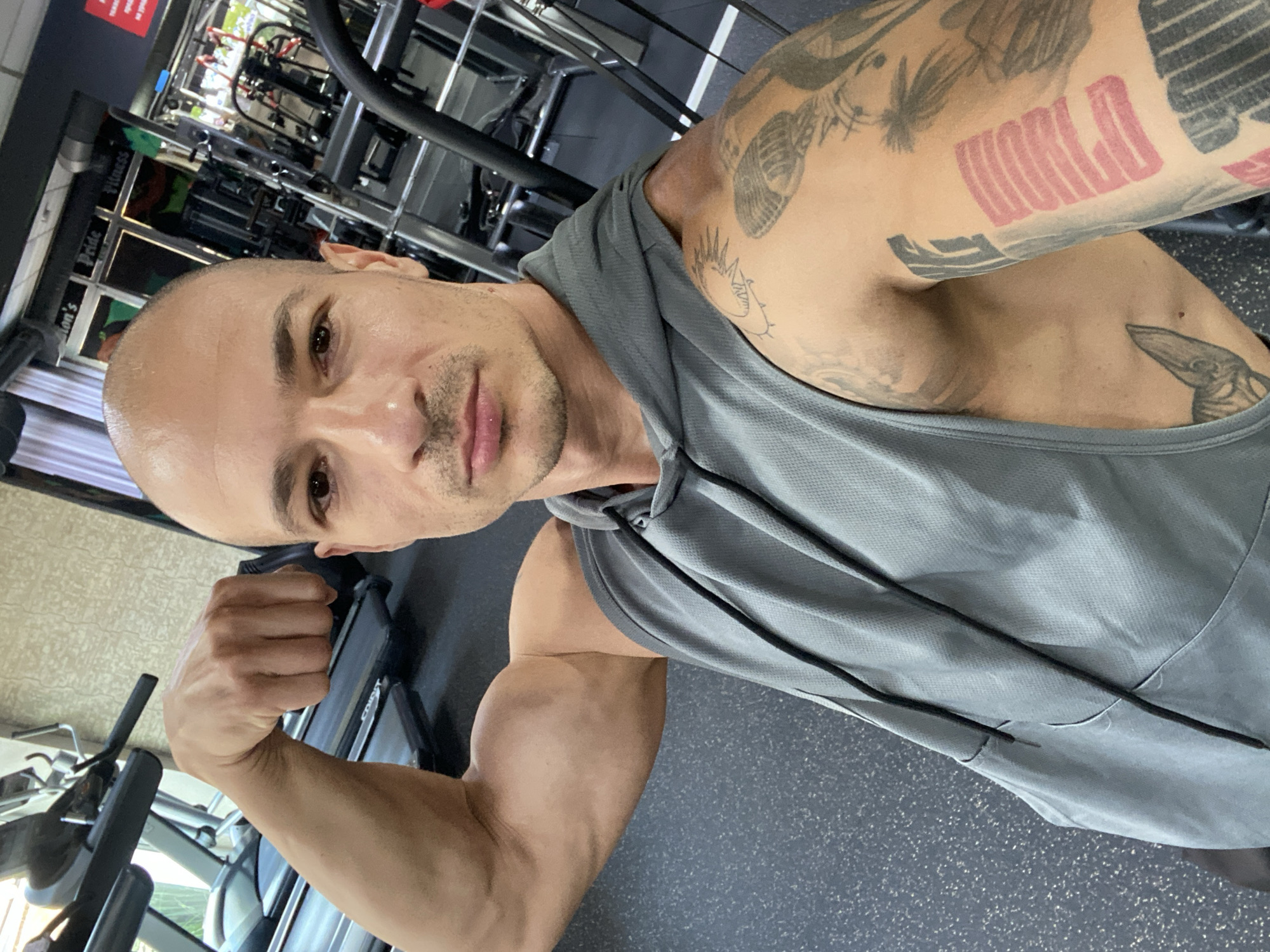 Gym day in Pleven, with a cat cameo