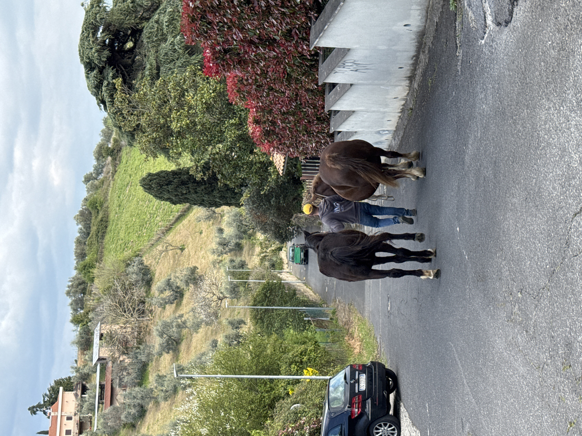 Man leads two horses down road in Italian town
