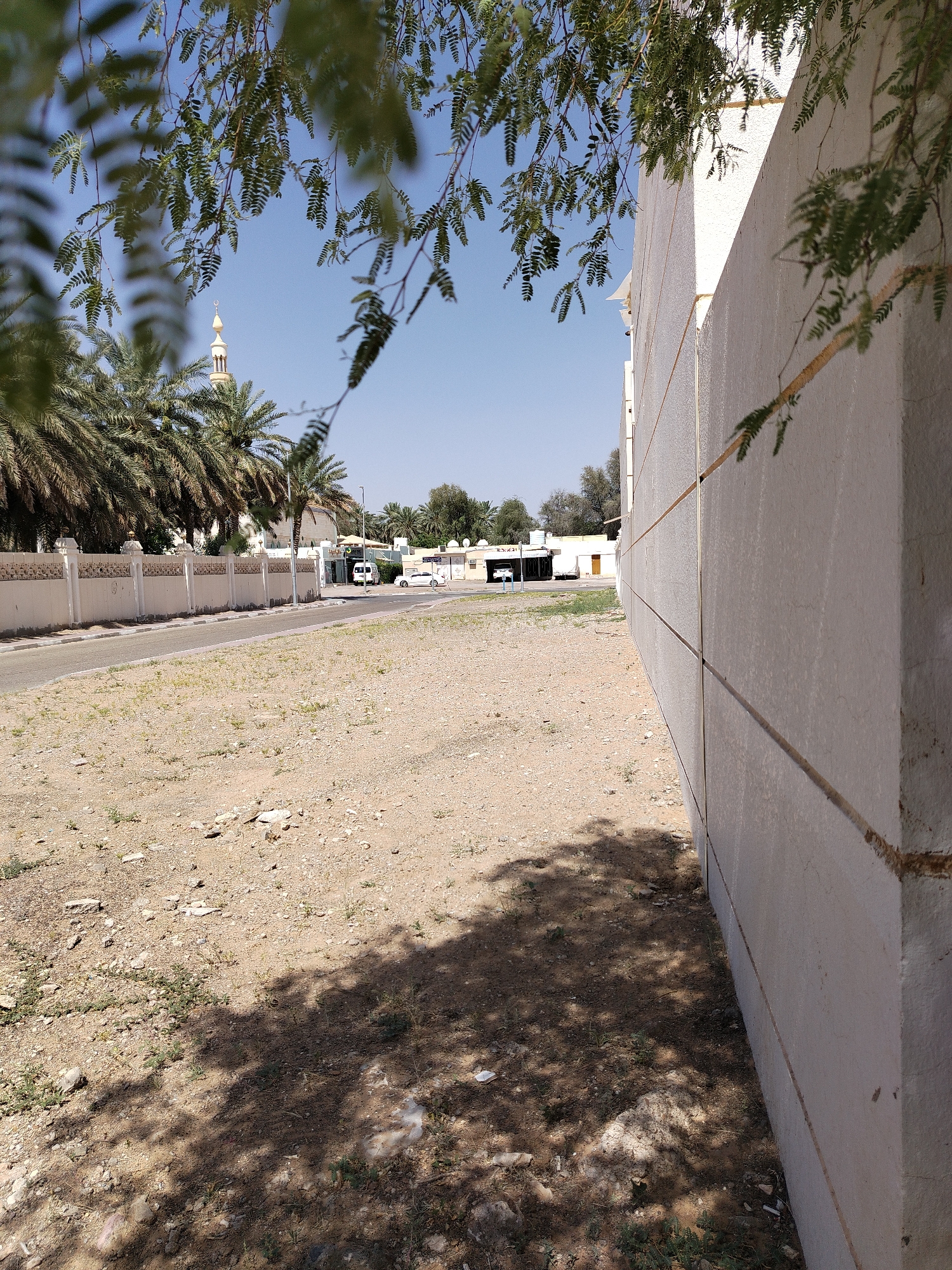 Woman takes selfies on tree-lined street in Al Mas'oudi