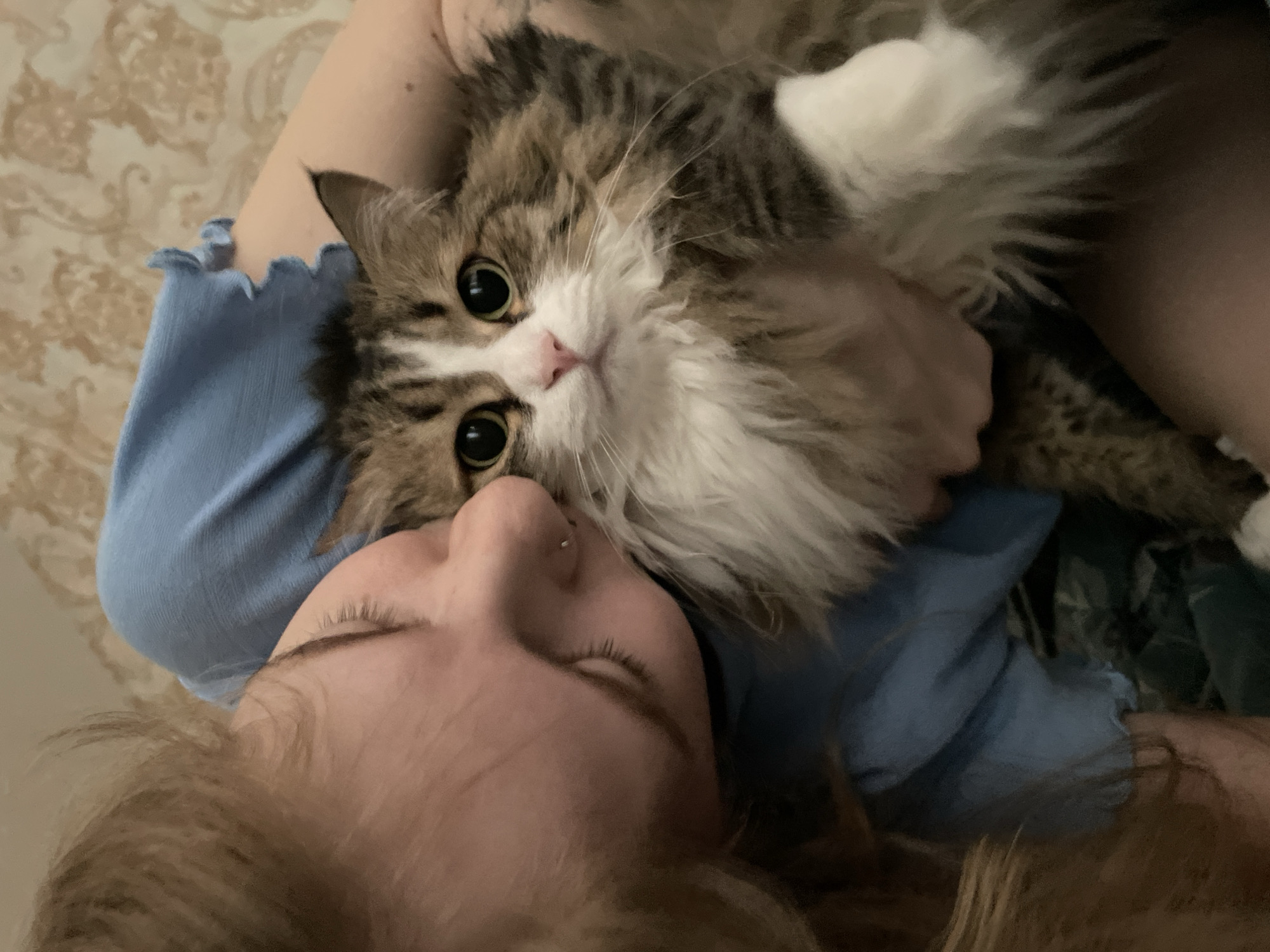 Woman rests with cat on chest in Izhevsk morning