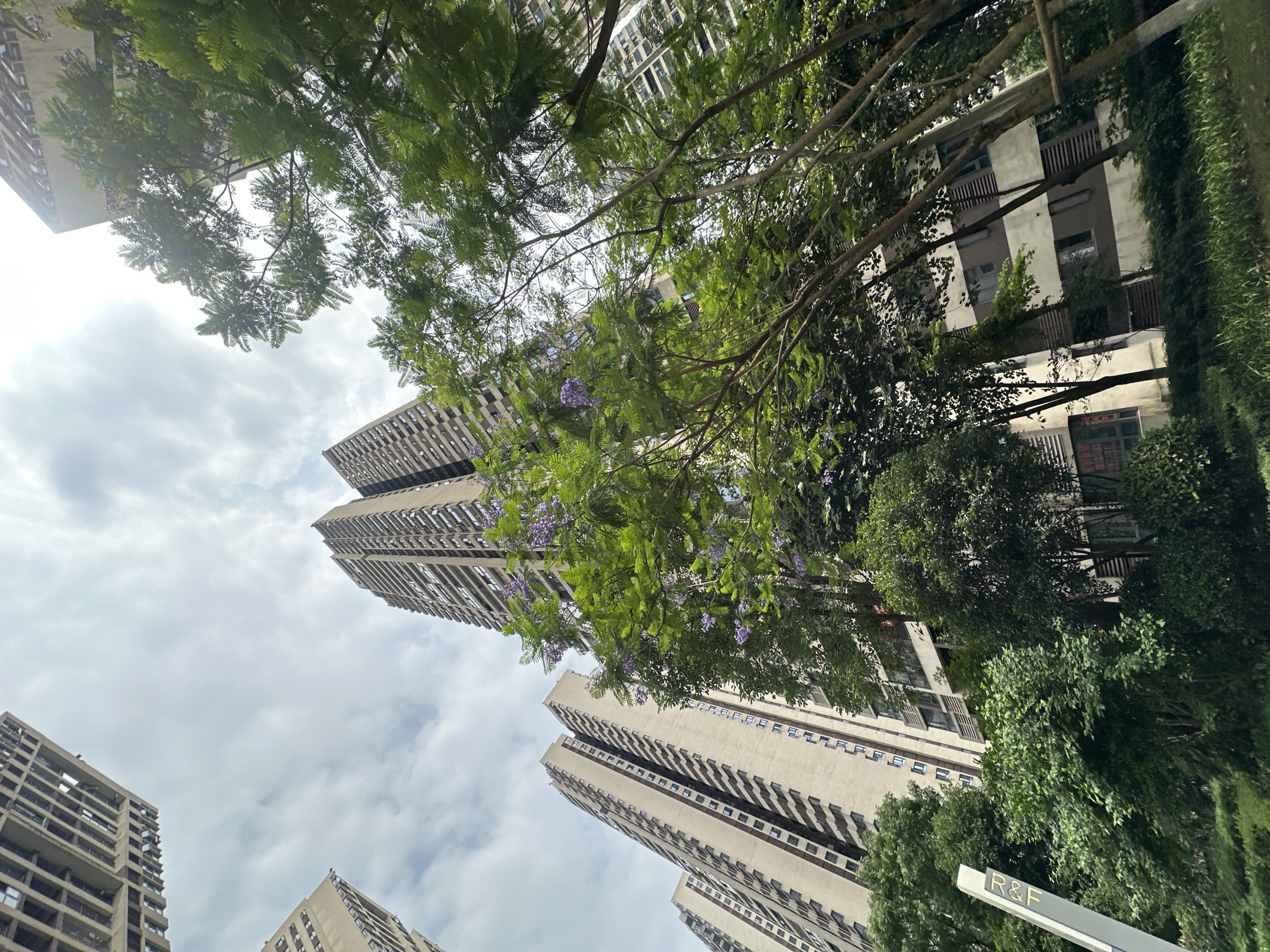 Morning scenes documented in Chongqing High-tech Zone residential district
