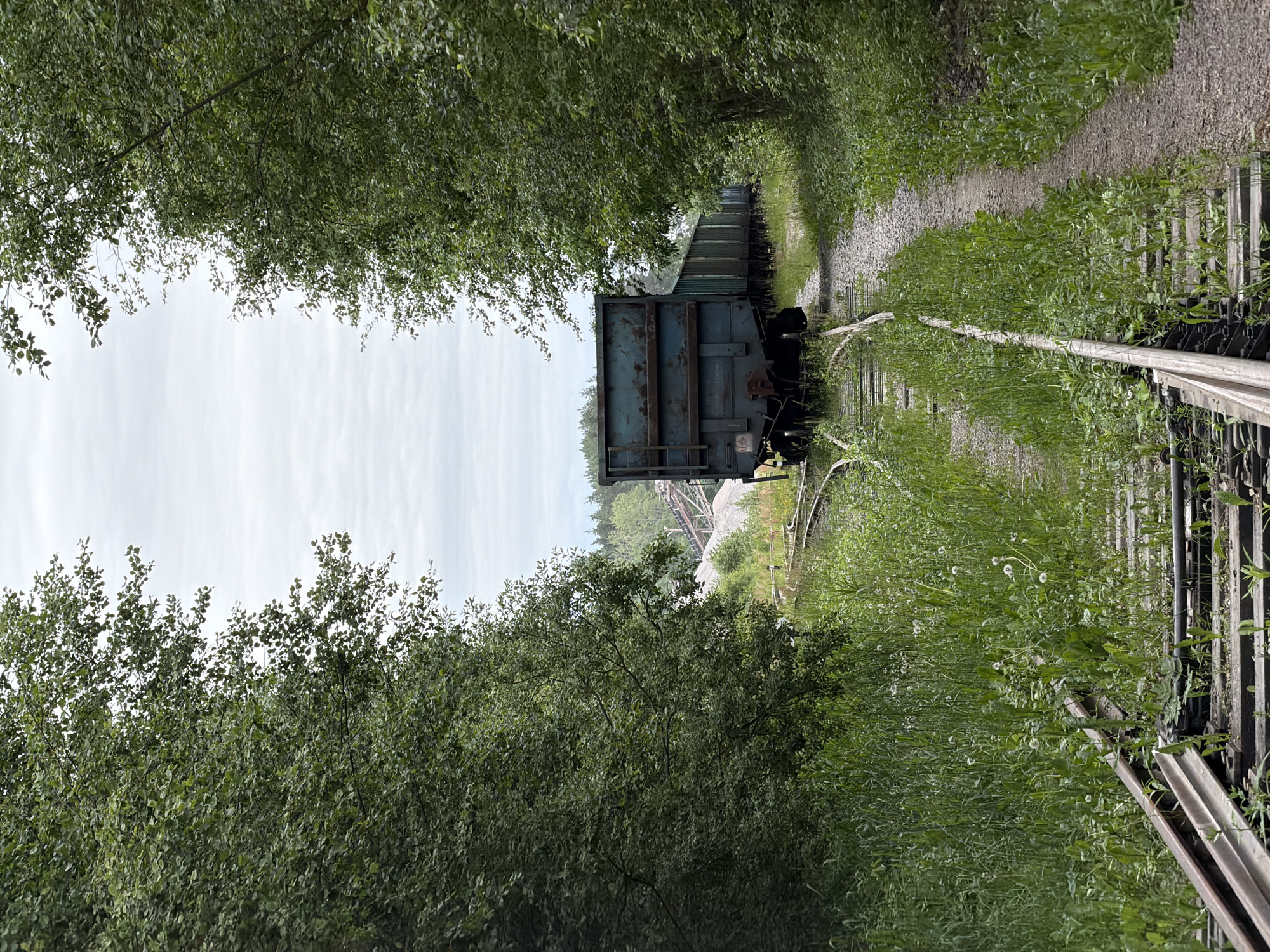 Freight train on overgrown forest tracks in Kuznechnoye
